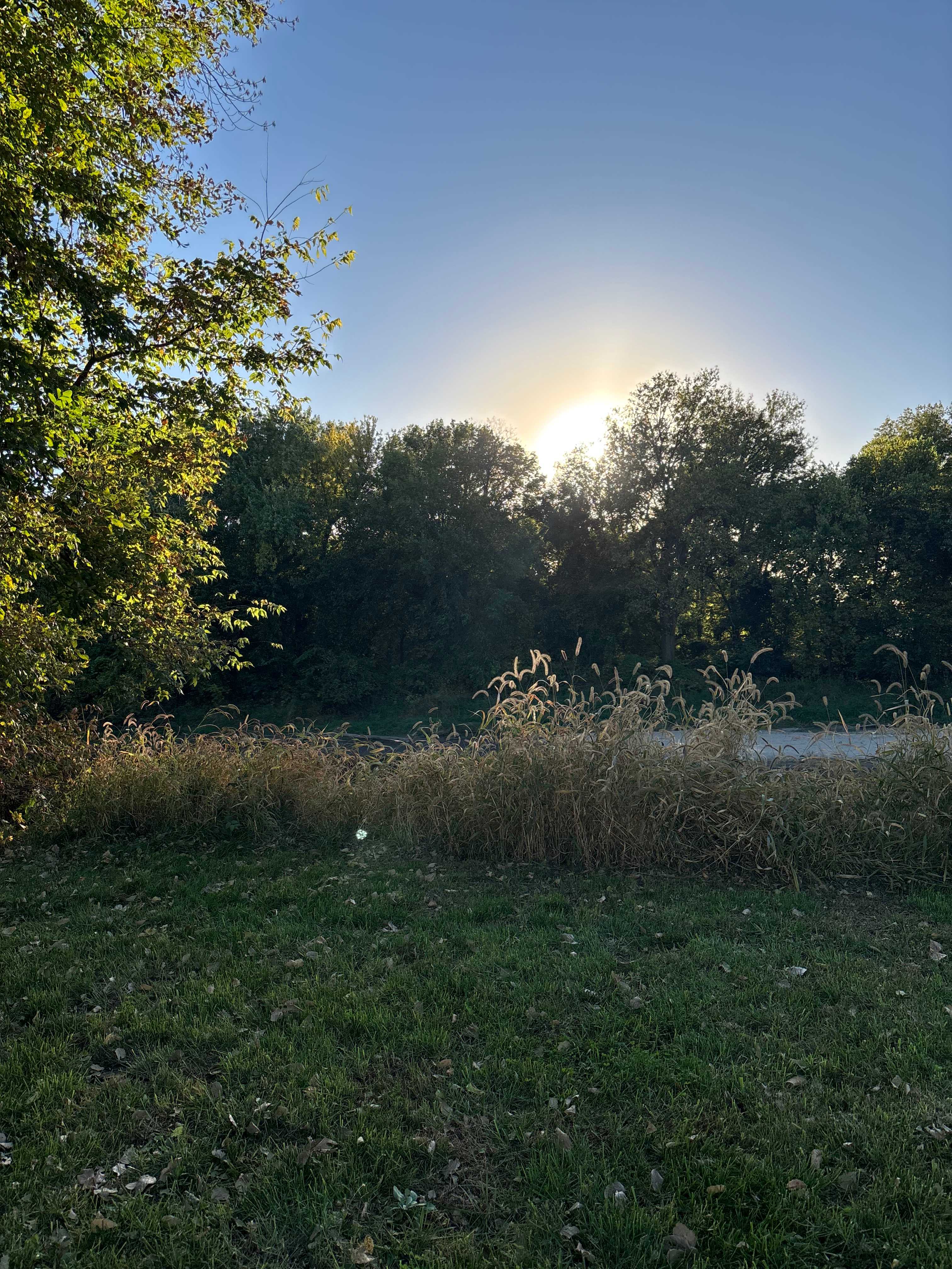 Tent camping on the Raccoon River
