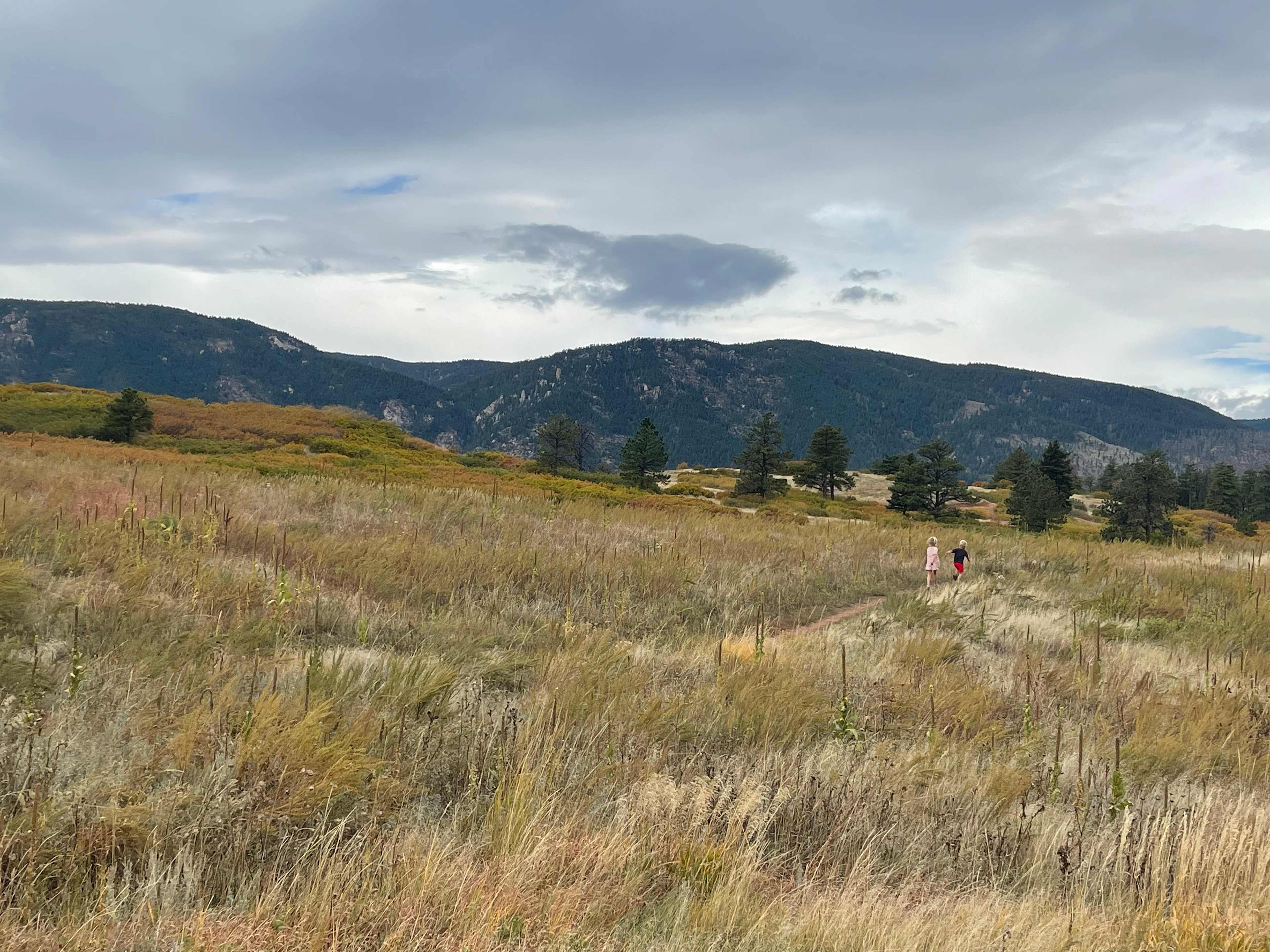 Standiford Goat and Equine Ranch