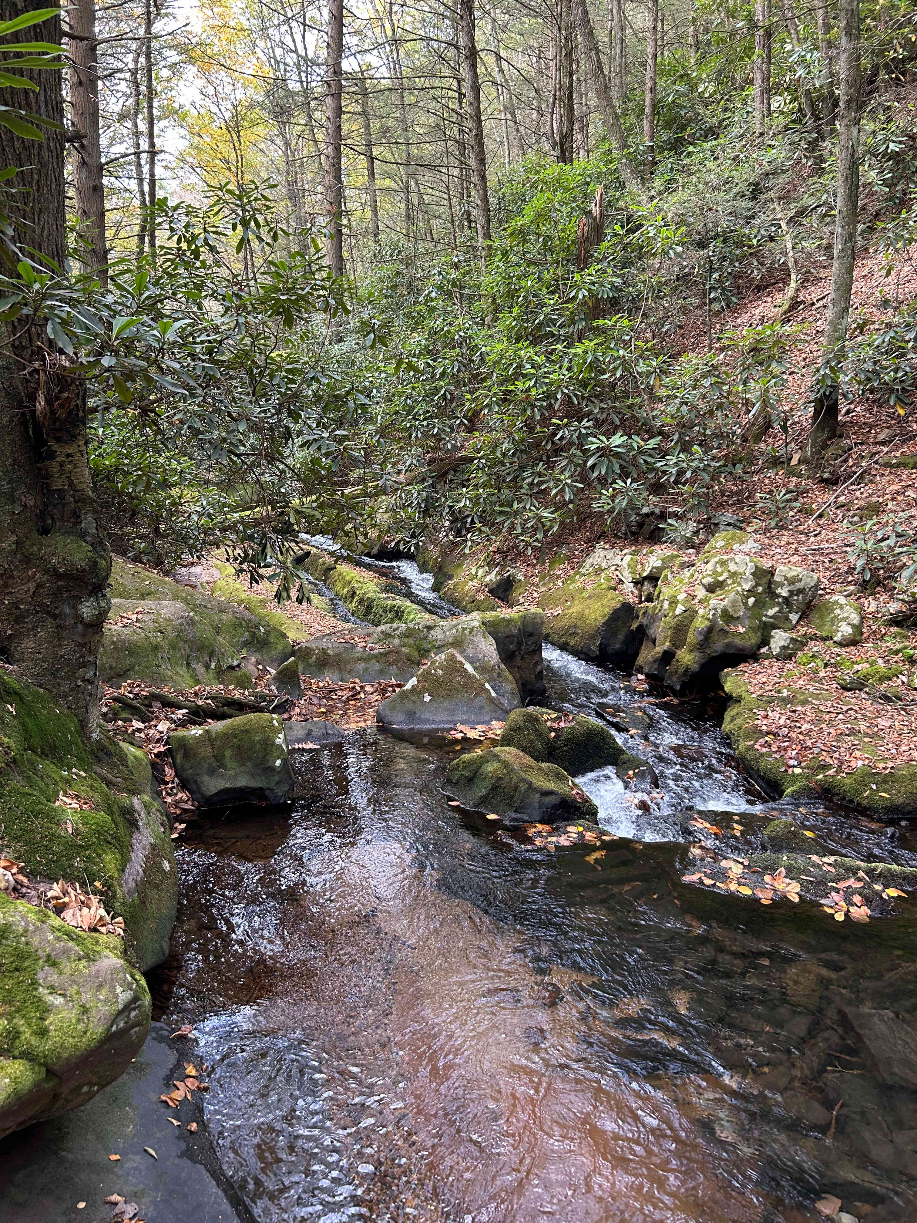 Camp Dietrich on Bear Creek