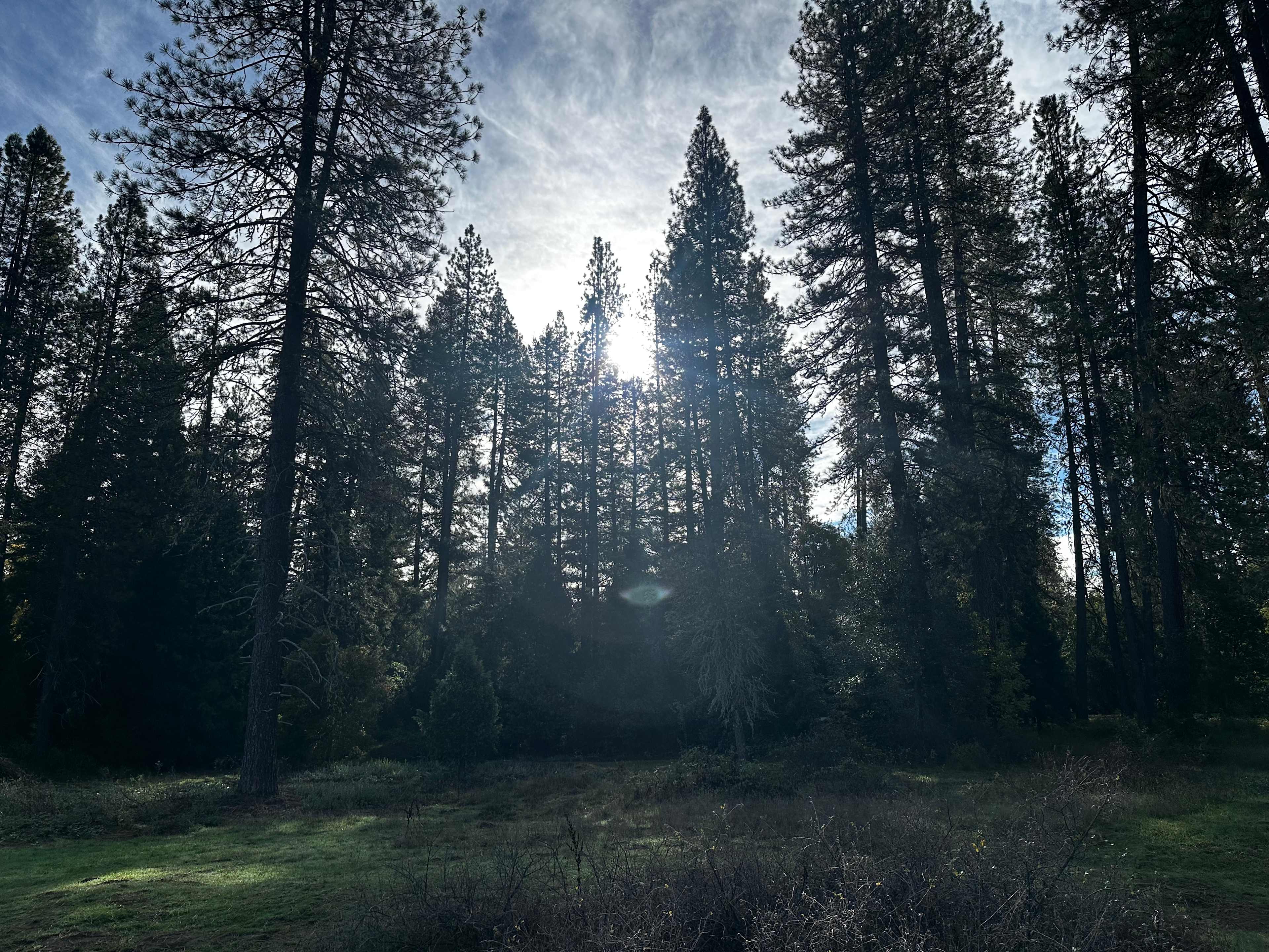 Kosk Creek Campgrounds