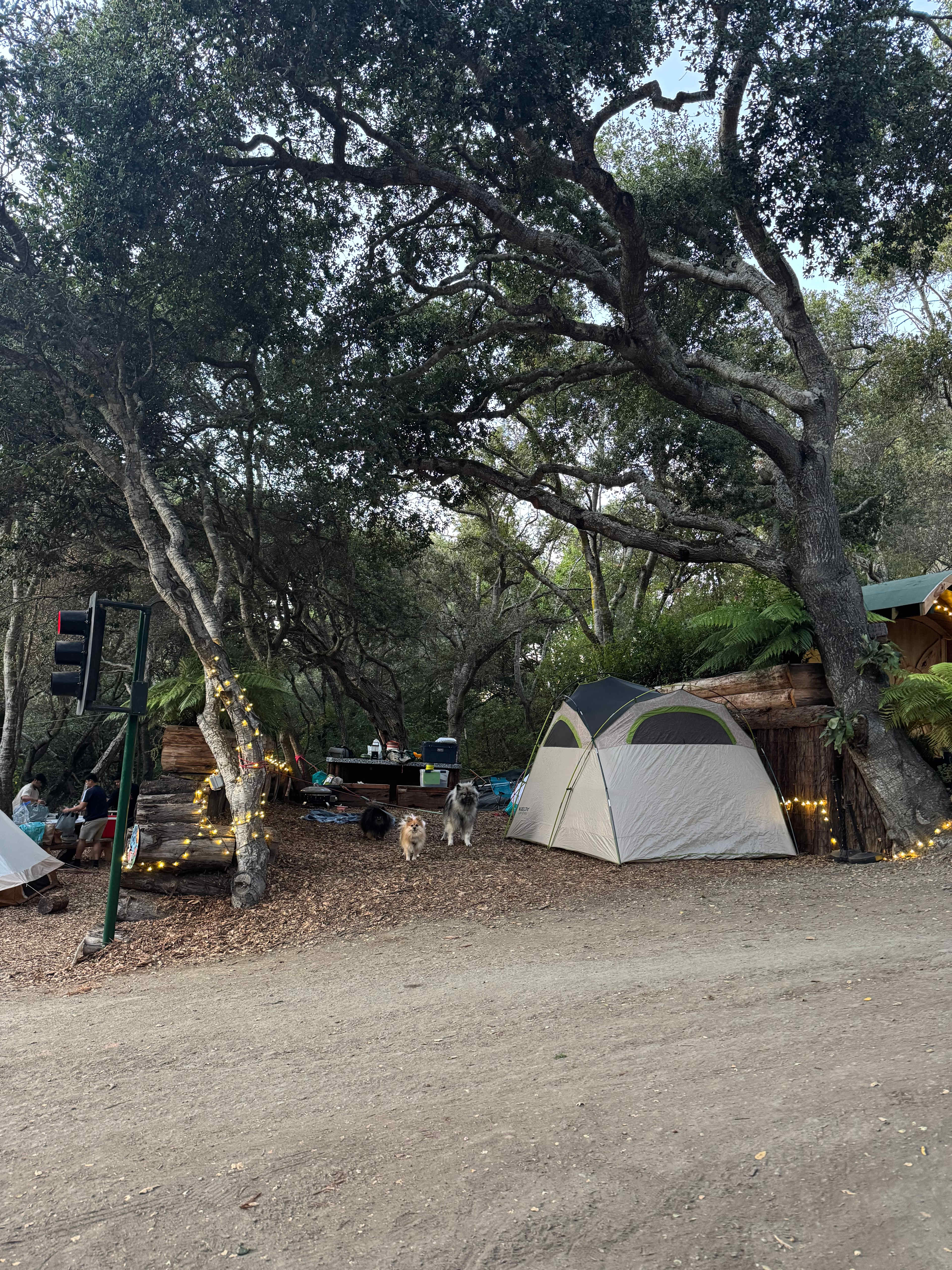 Campsite from other side of road 