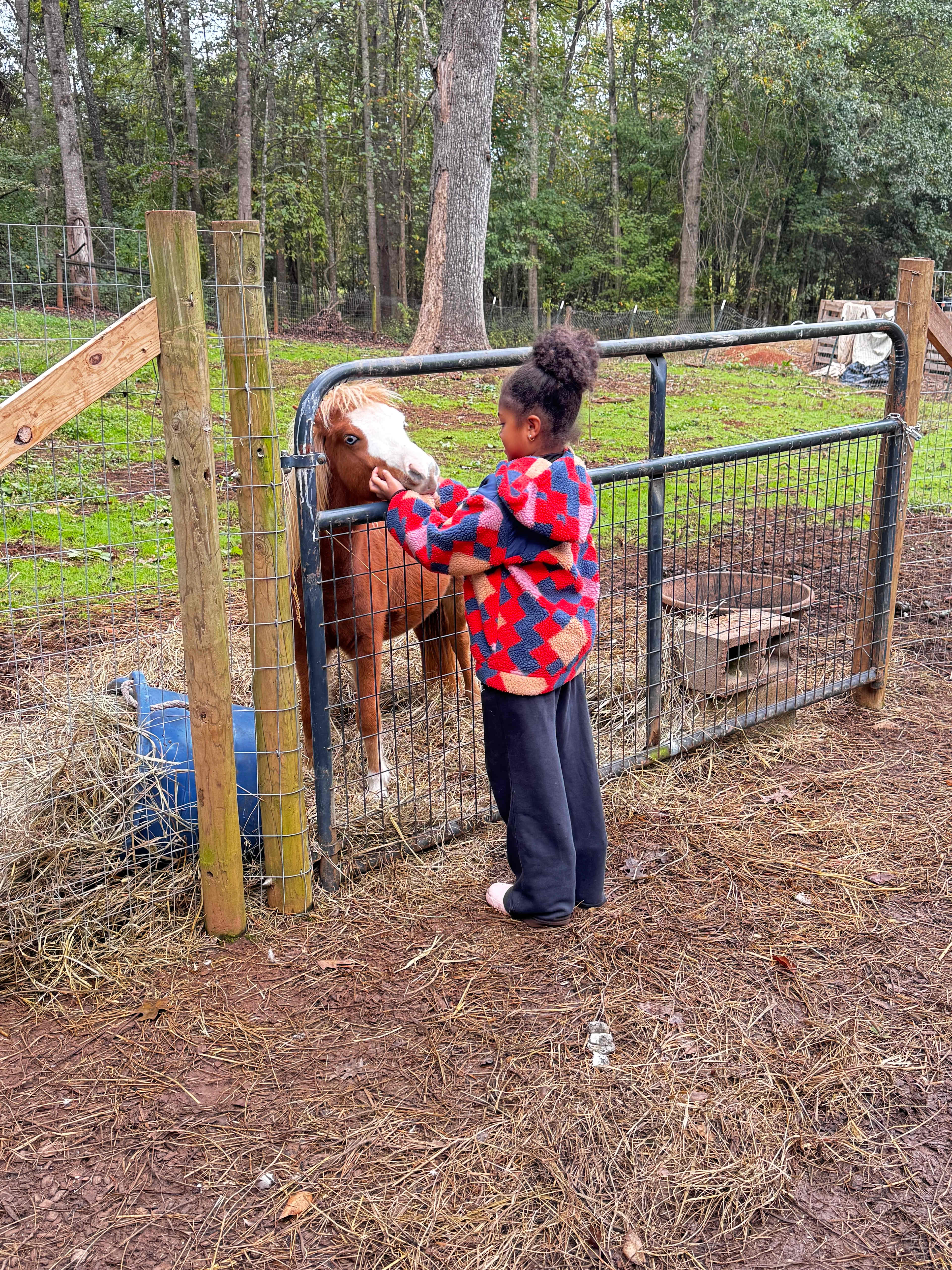 Giving Chester some love