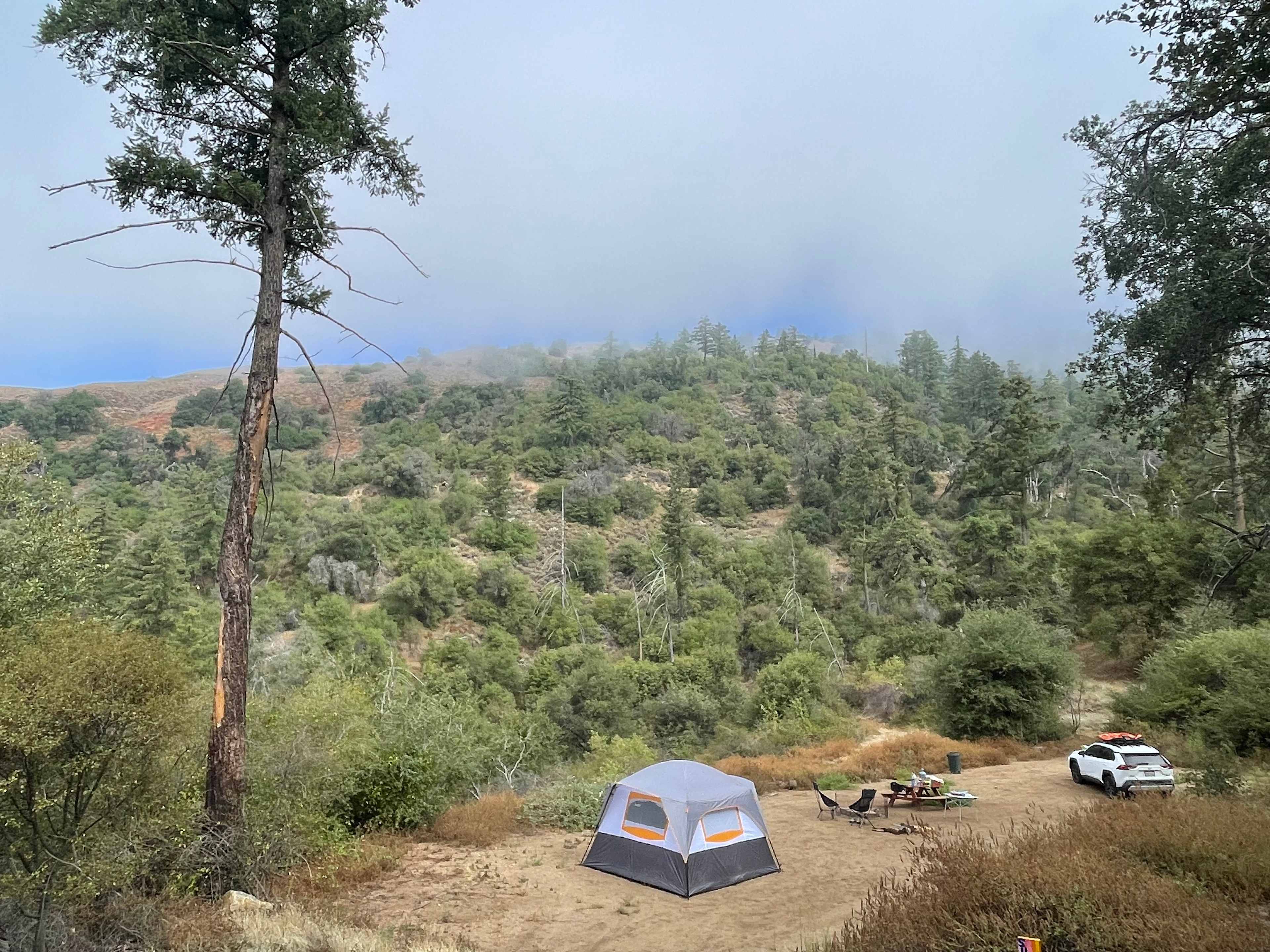 Magical Harrison Serenity Ranch