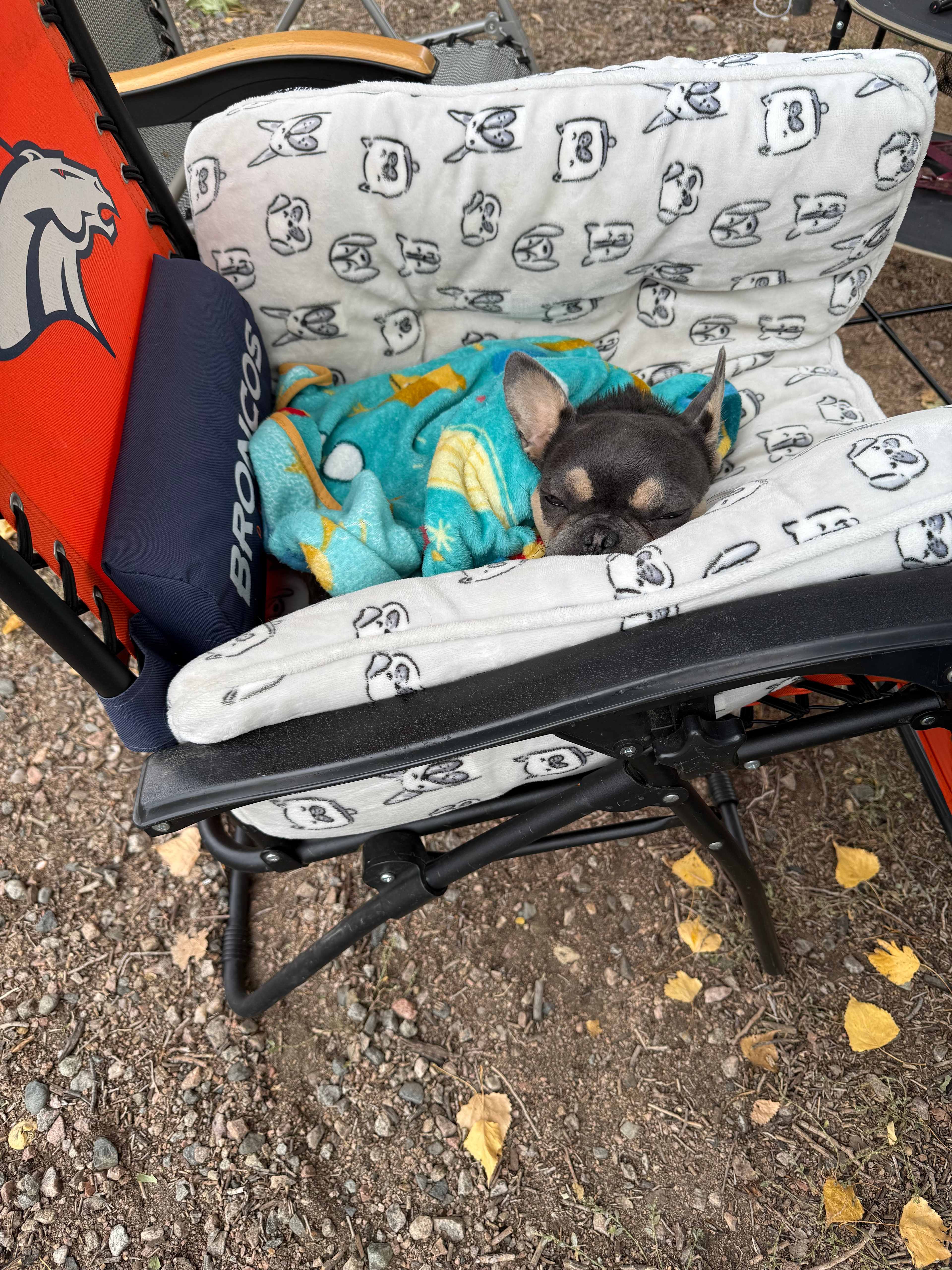 Sweetwater River Resort