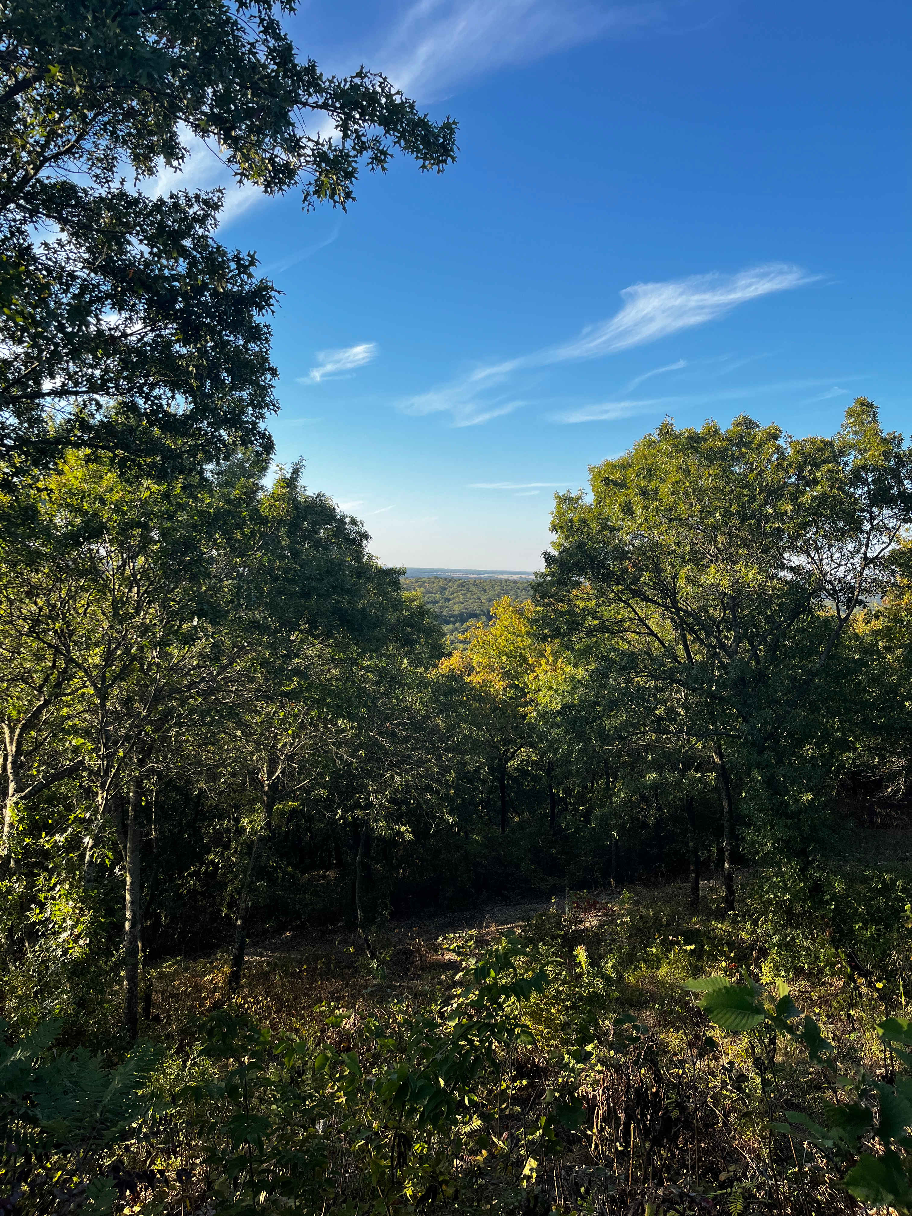 North Texas Hill country view from the winery