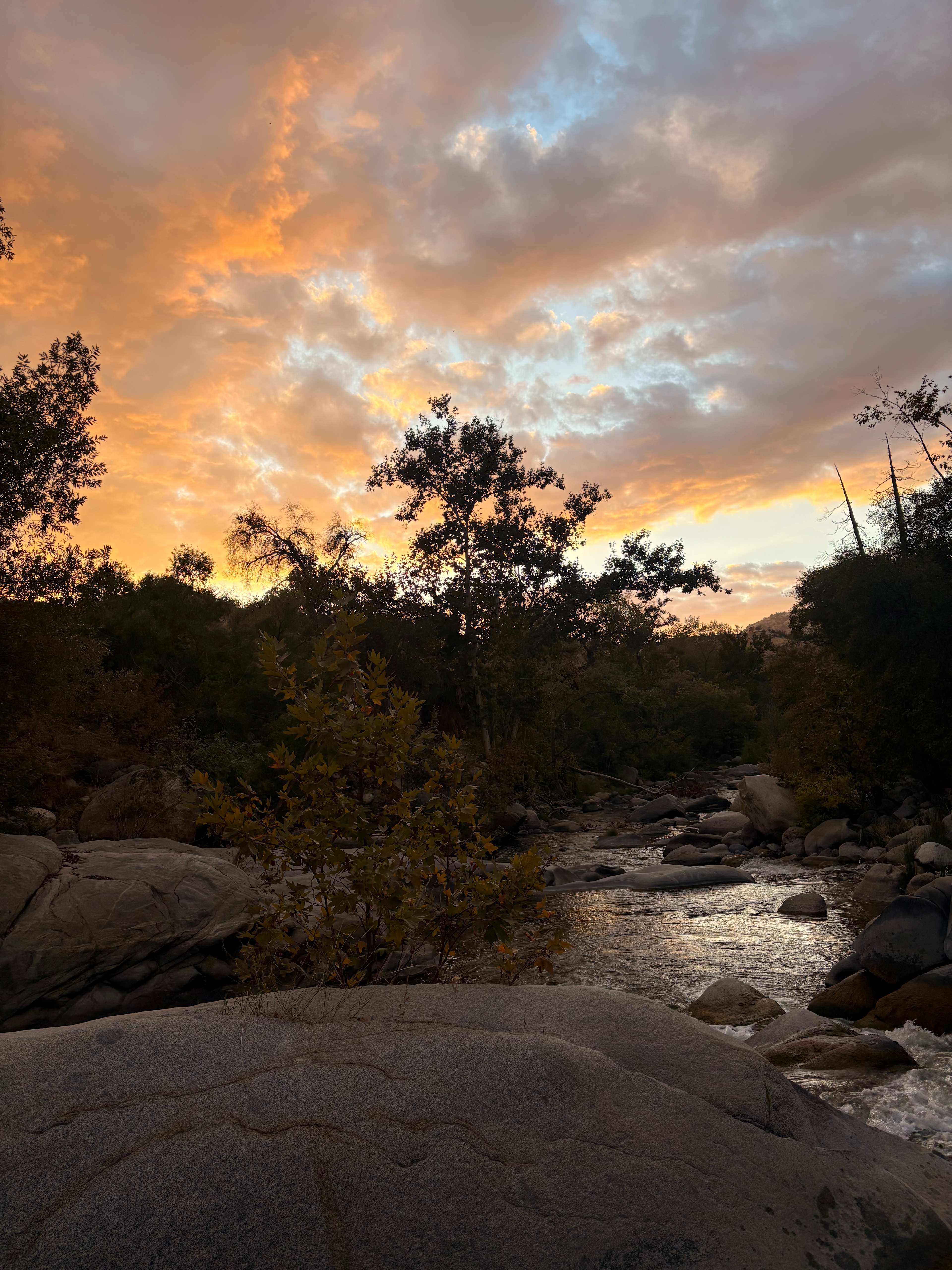 Private Sanctuary on the Tule River