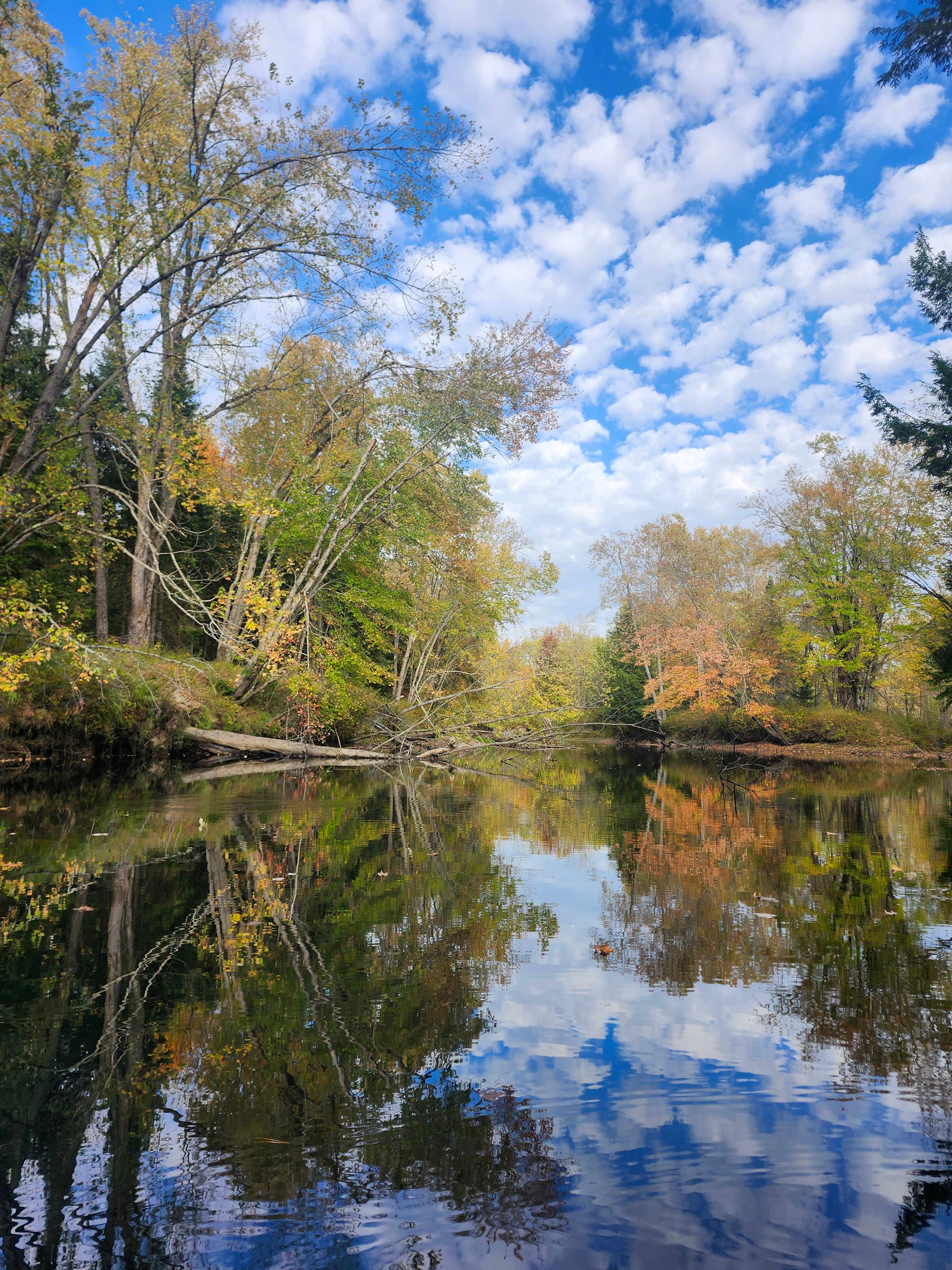 The Black River. Nice wide calm paddle with the beautiful fall colours of the forests lining it's banks.