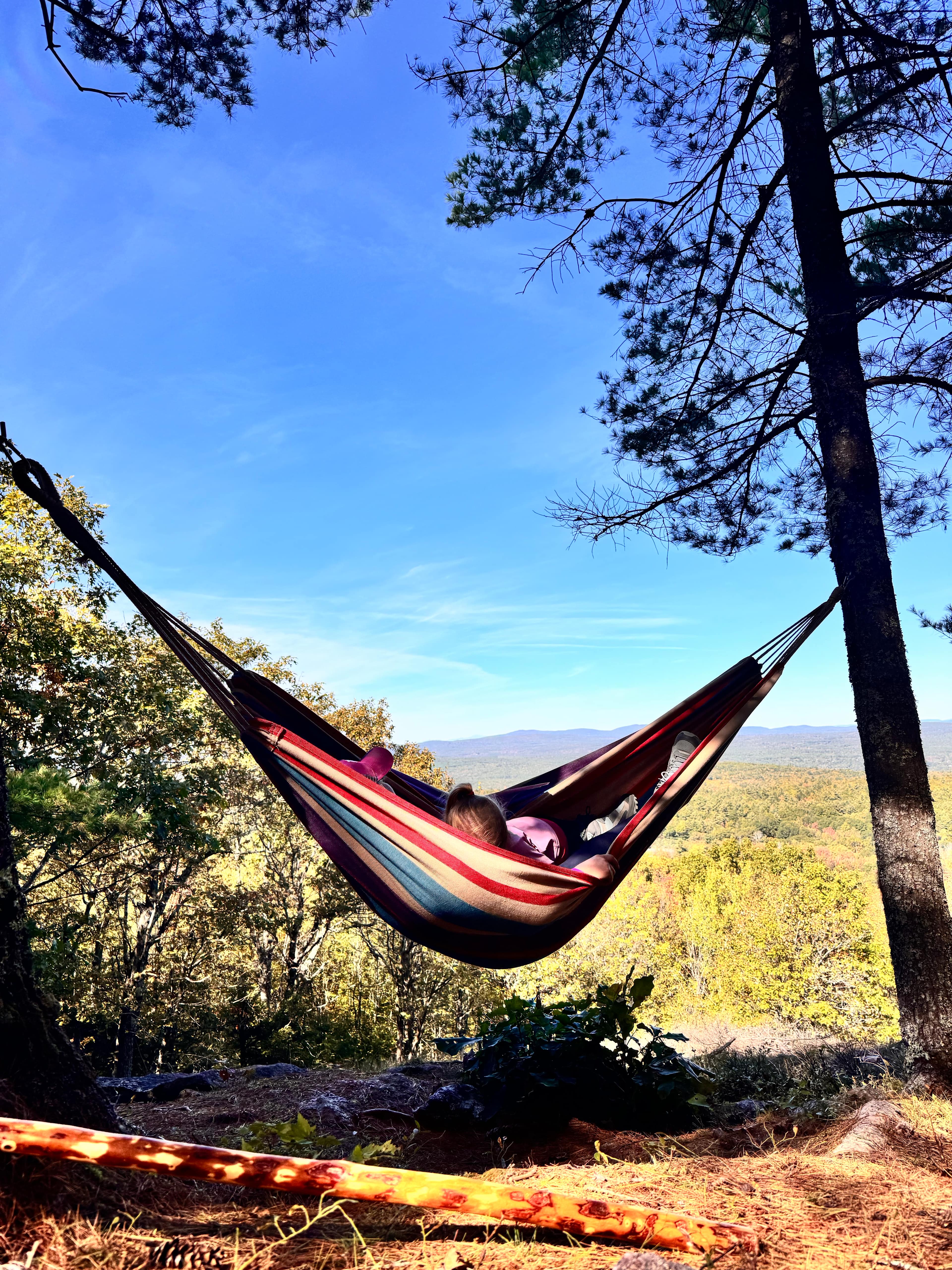 Hussey Mountain Tree Farm
