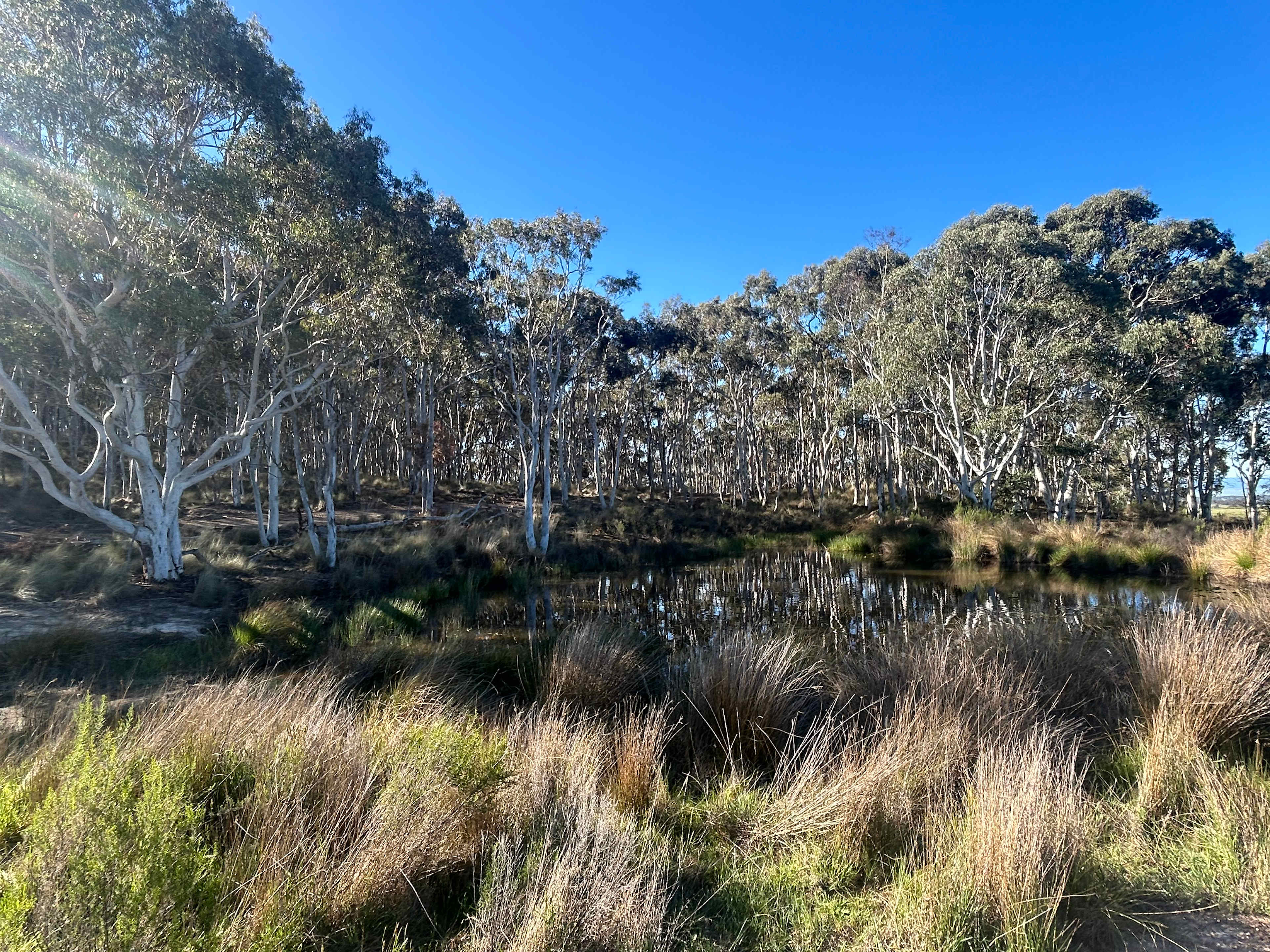 Mount Testa Campgrounds