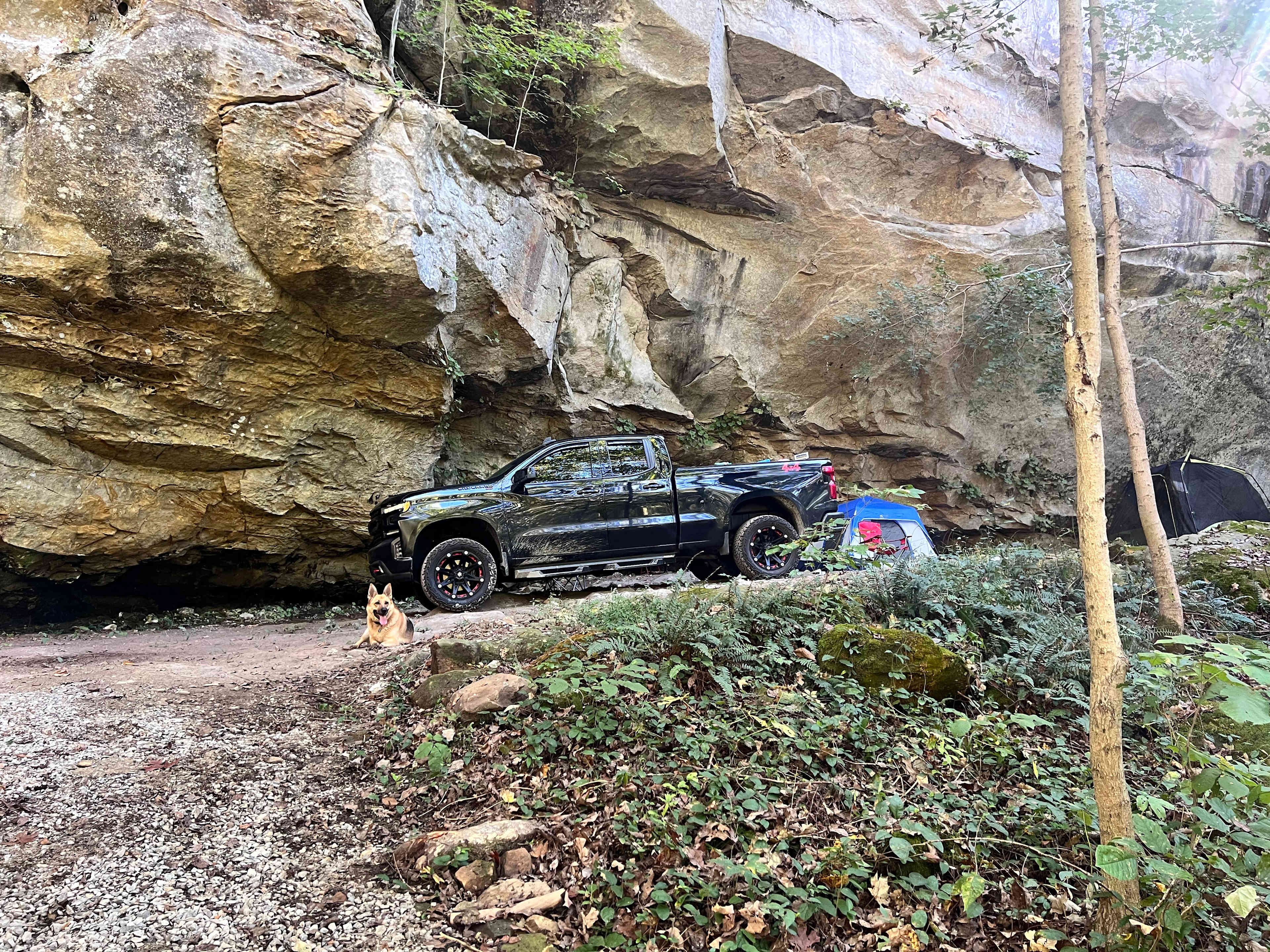 Like she lives here. 