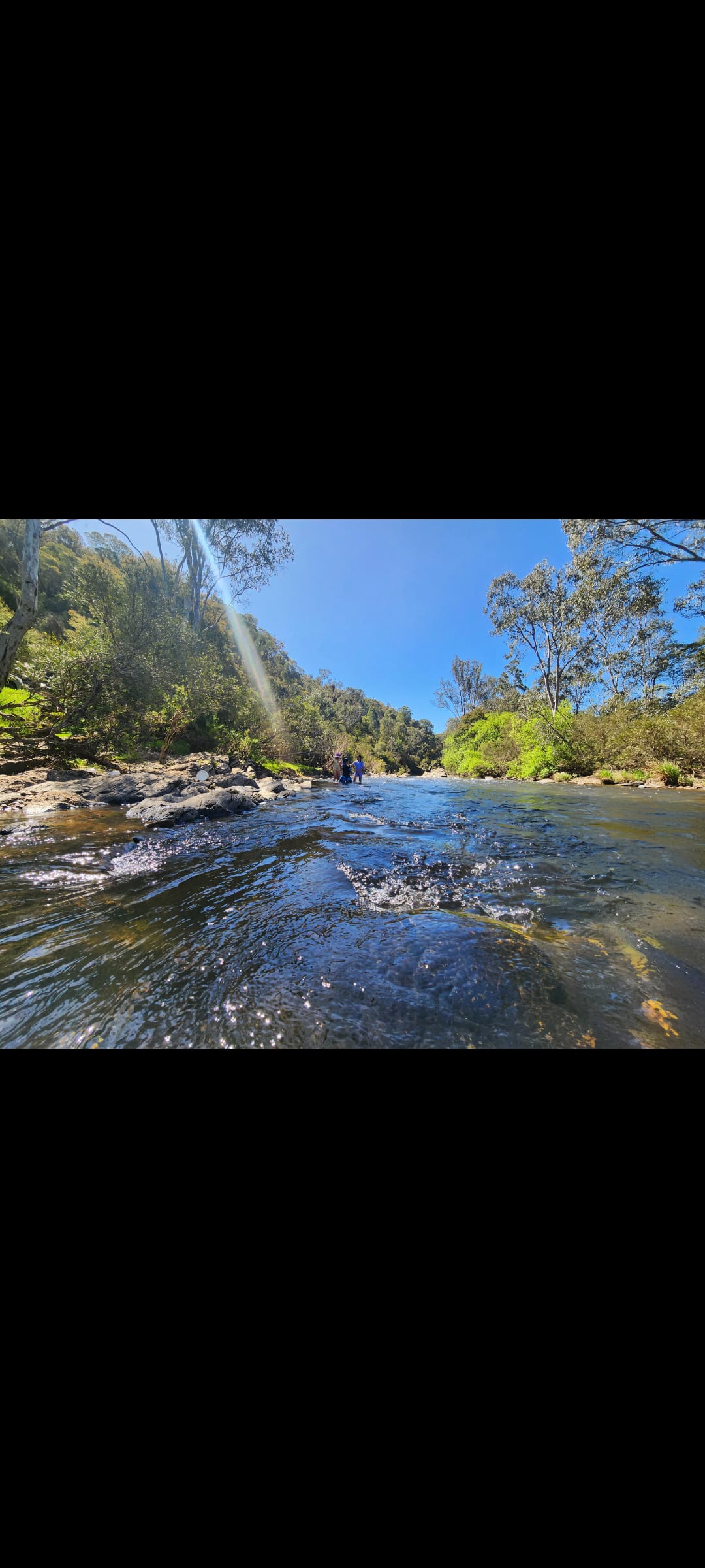Buffalo River Retreat
