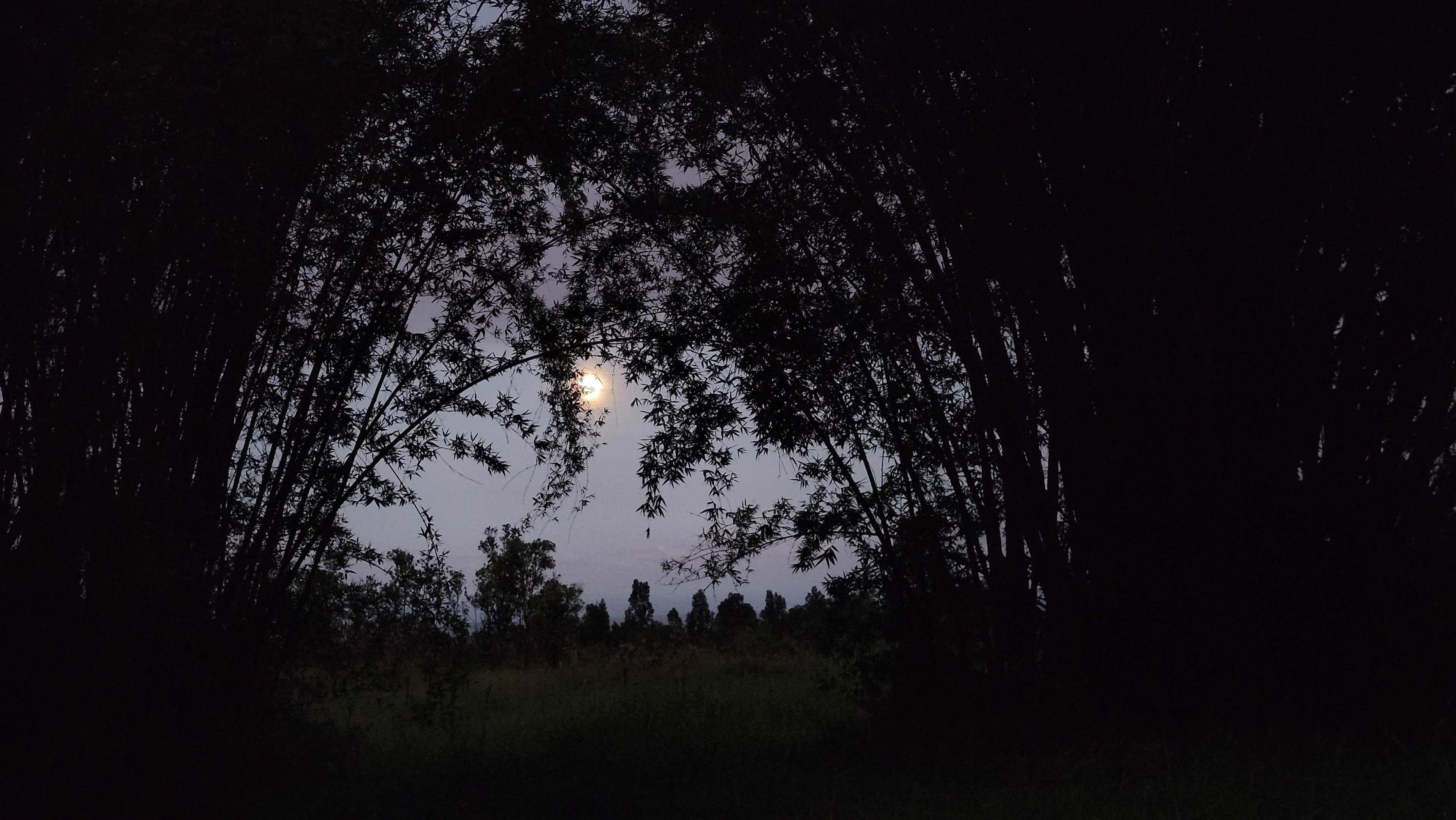 Another nightly view