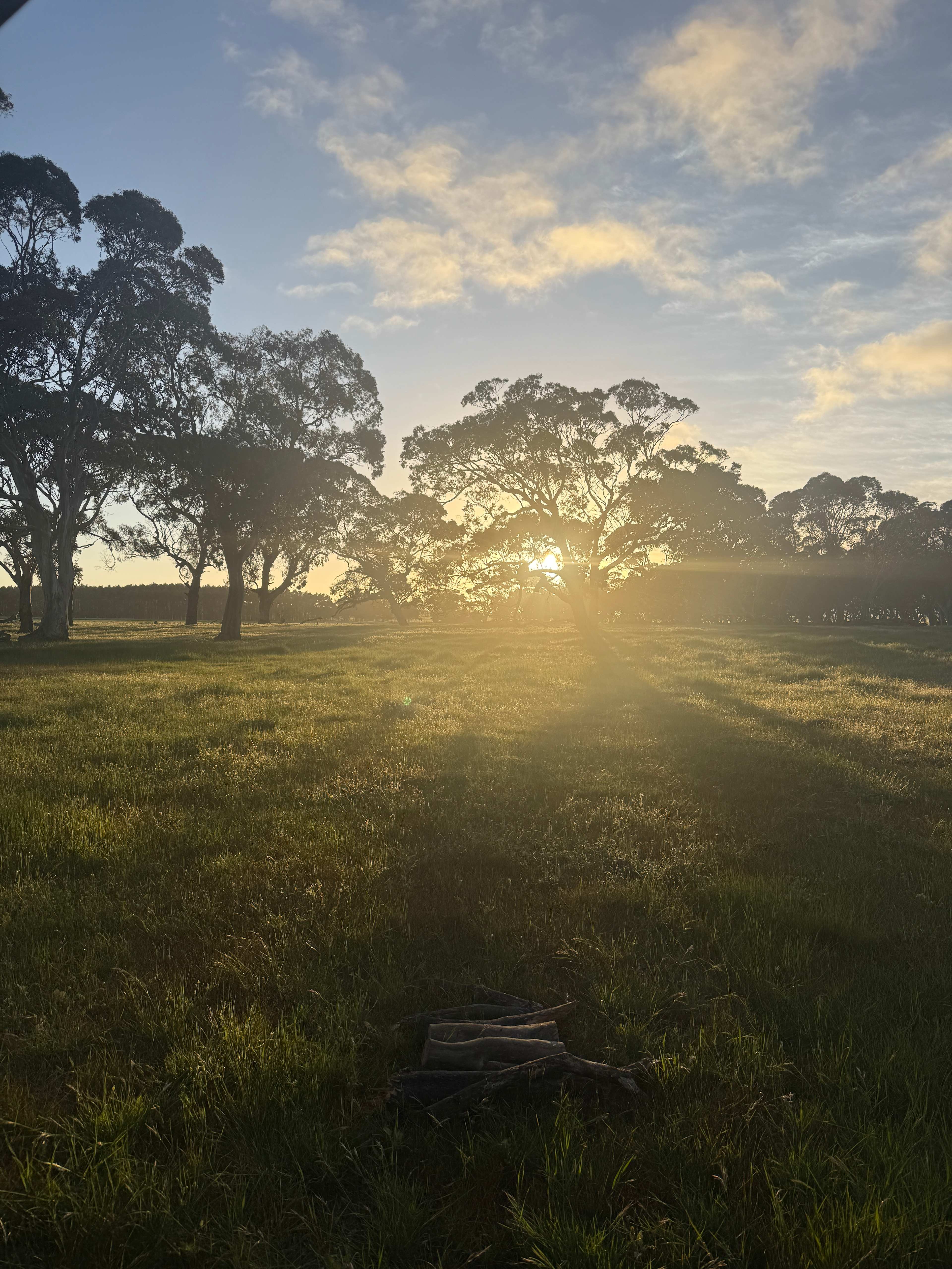 Amberfeld Big Gum Camp
