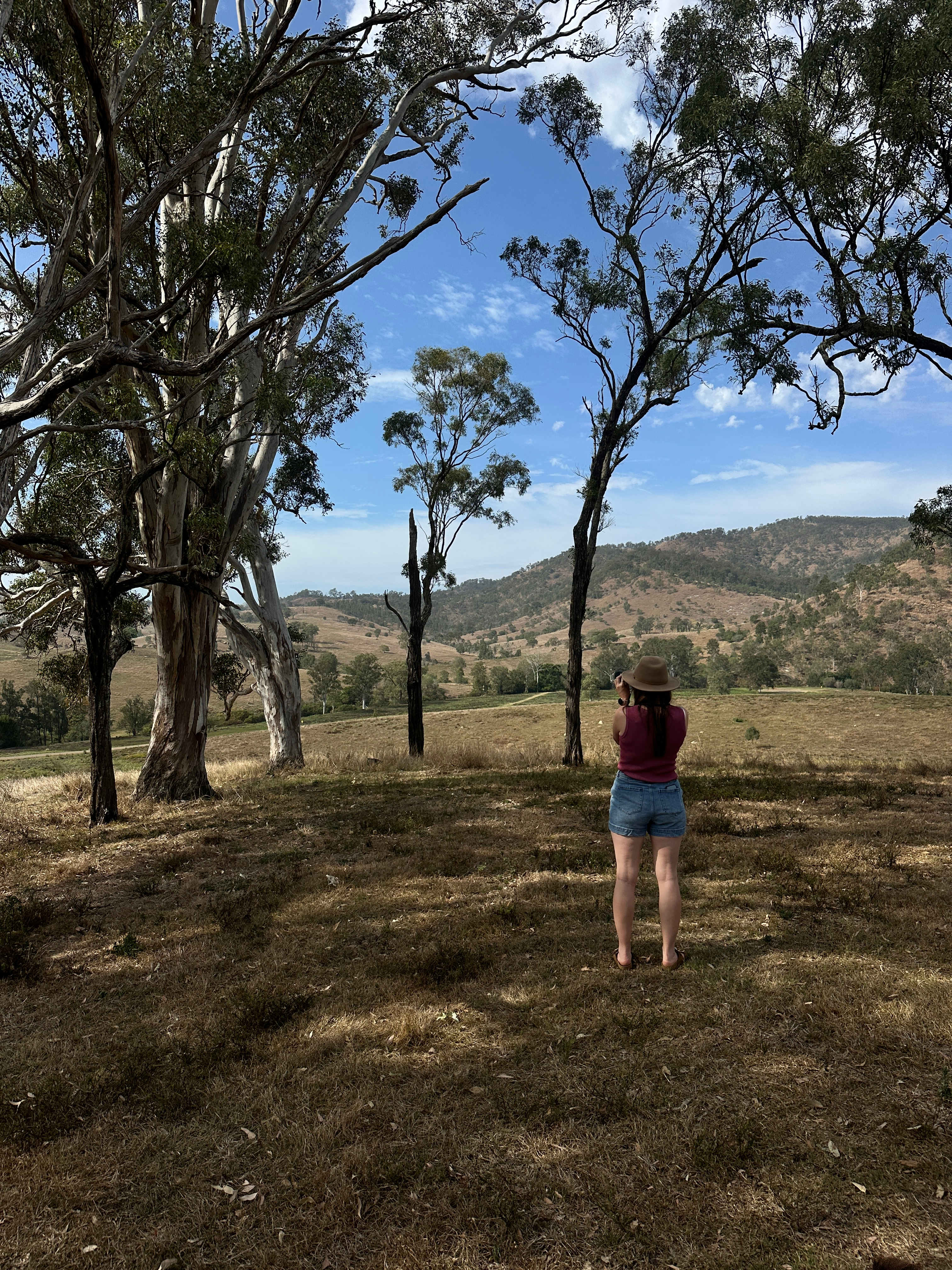 Juburra Country Camping