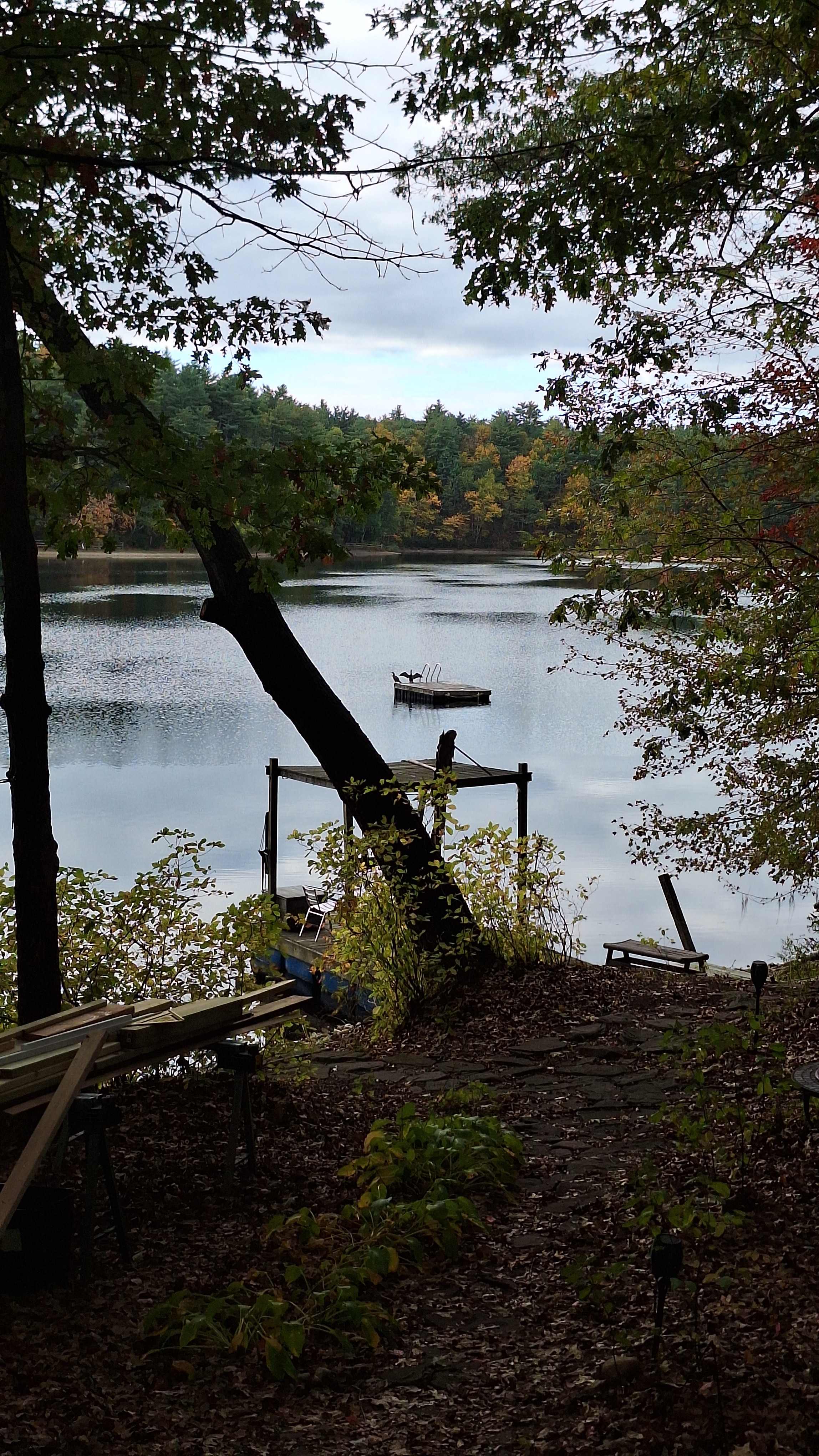 Ponderings at White Pond