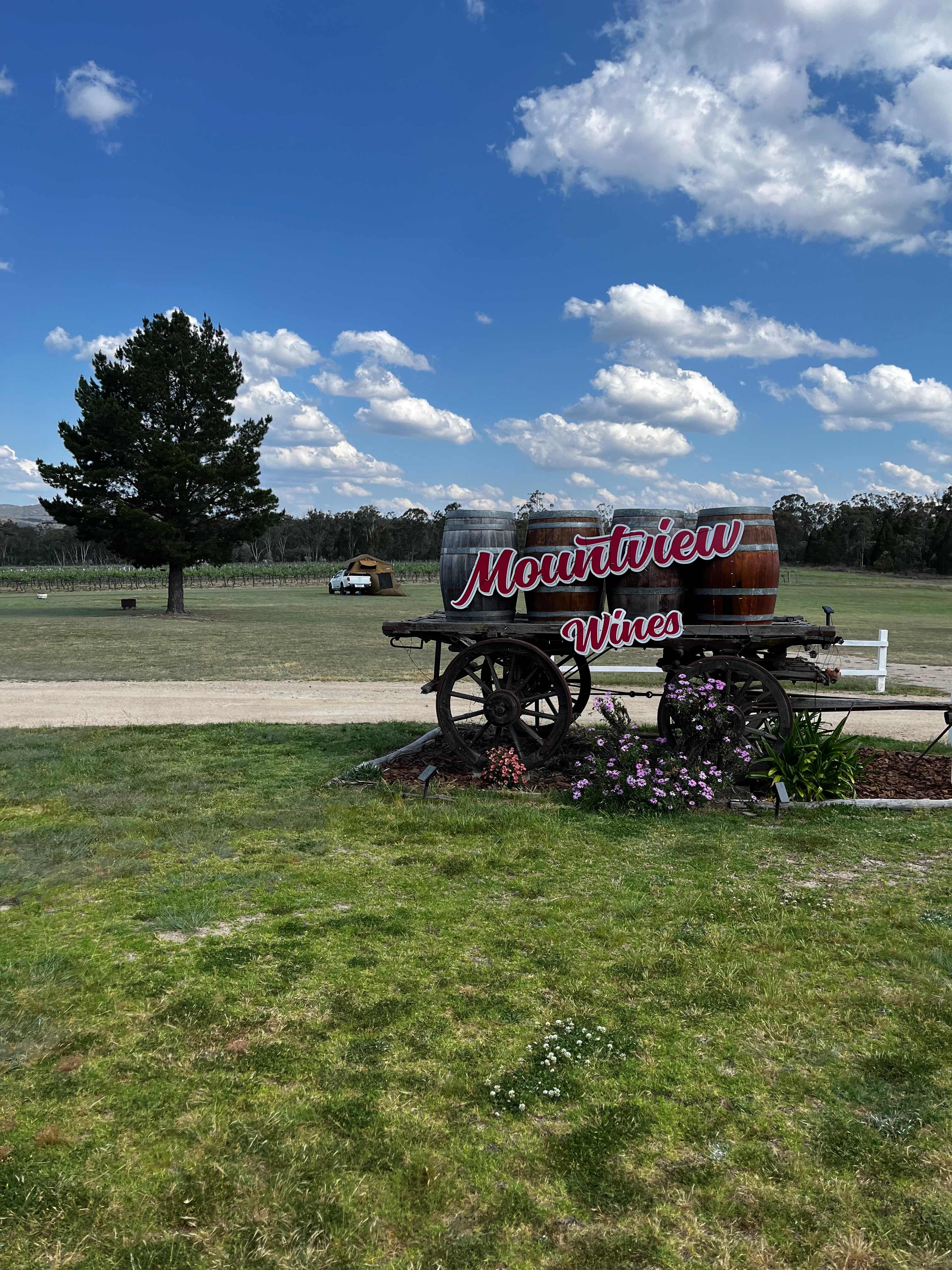 Mountview Wines Camping and Cabins