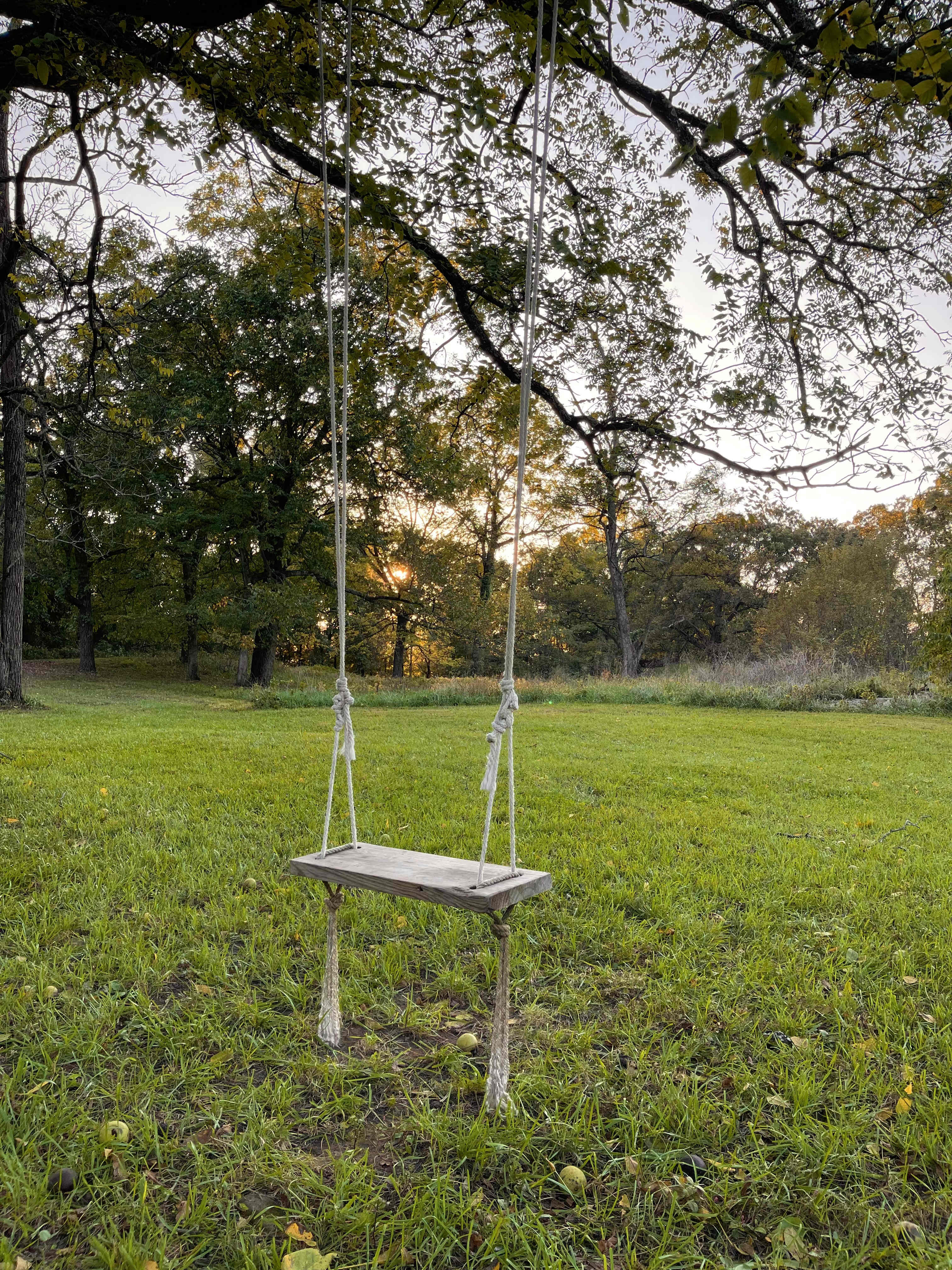 Enchanted Ozark Fairytale Camp