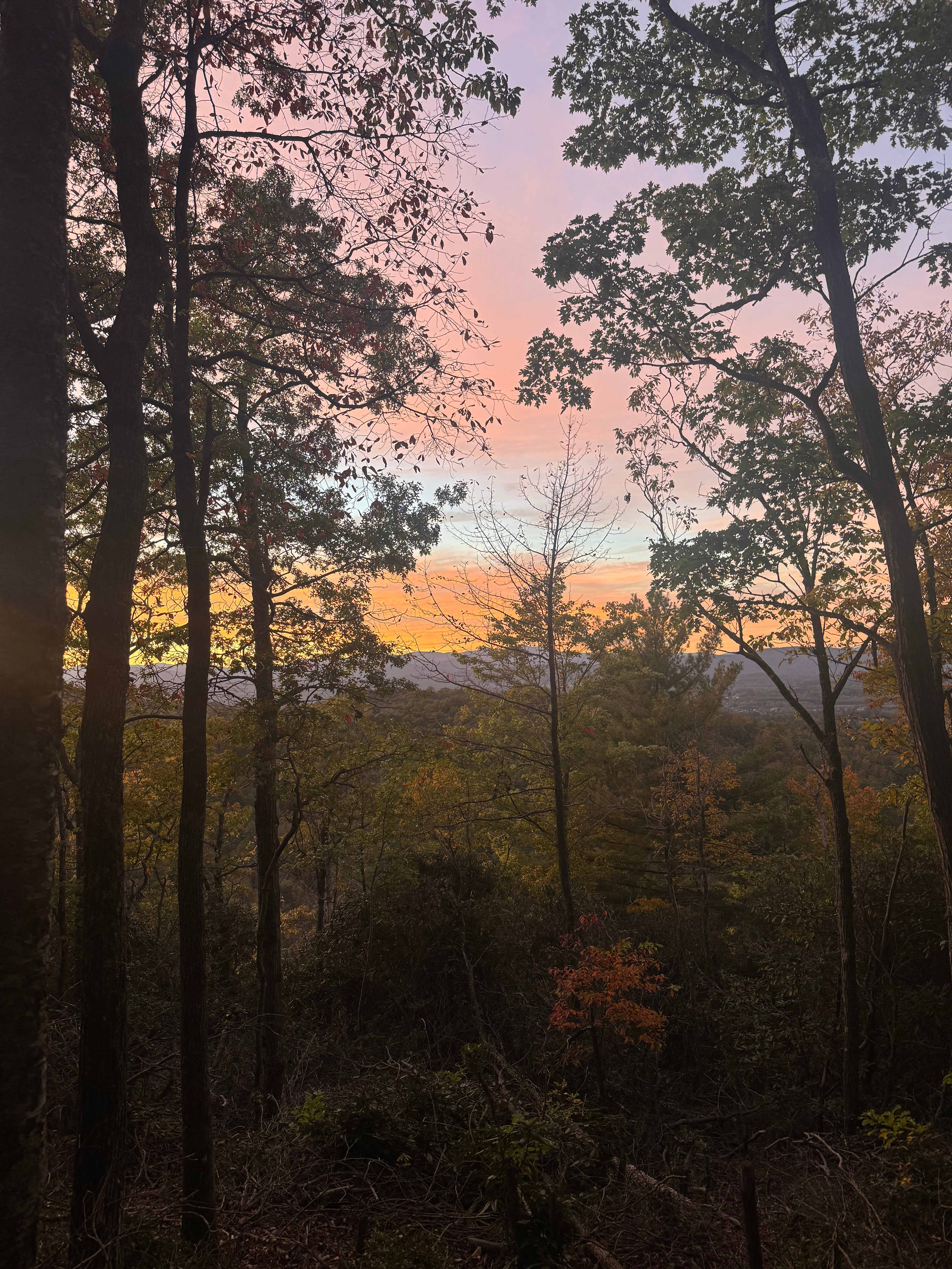 Green Haven, Primitive Camping