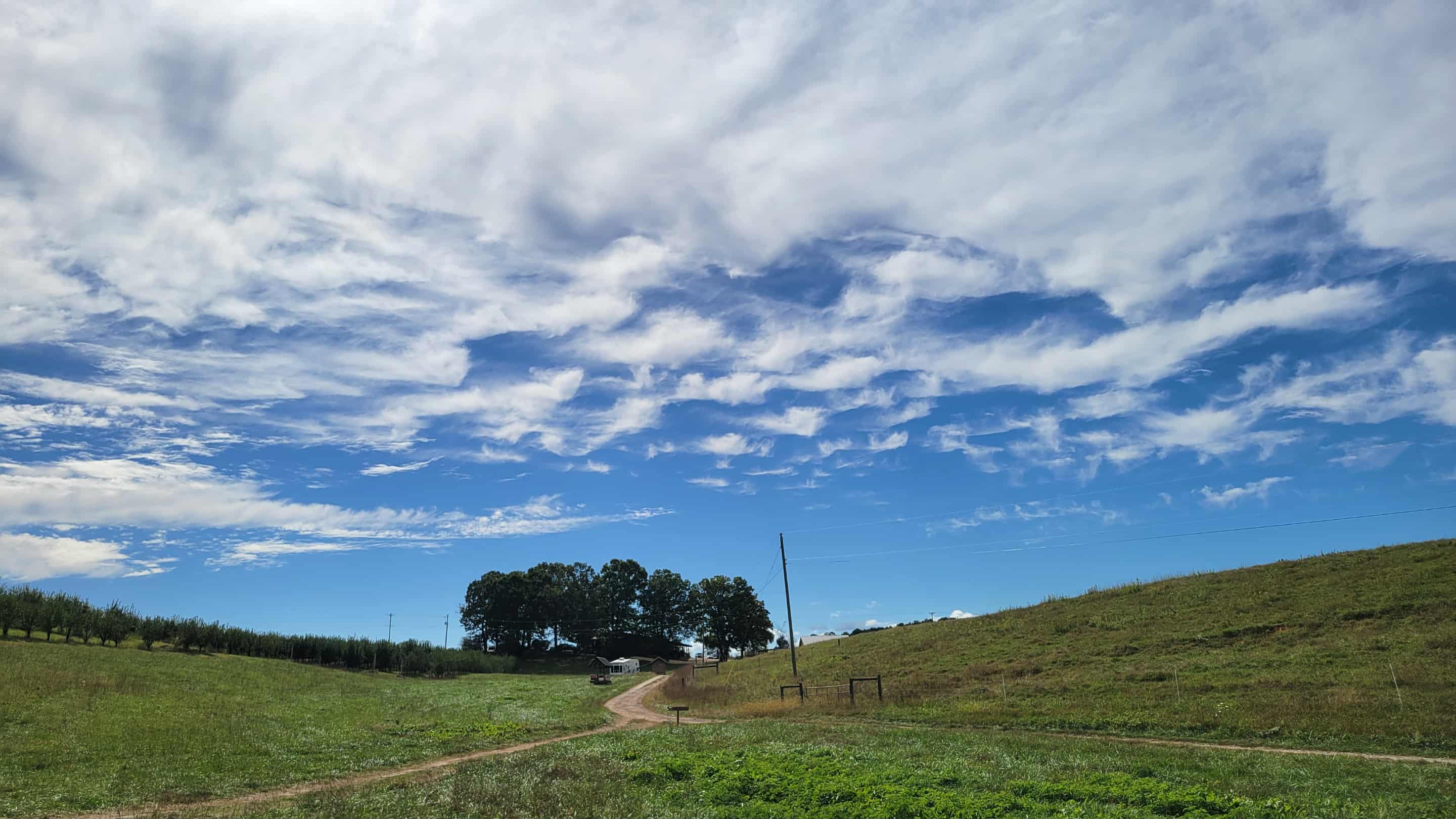 From our campsite looking at the farm and distillery.