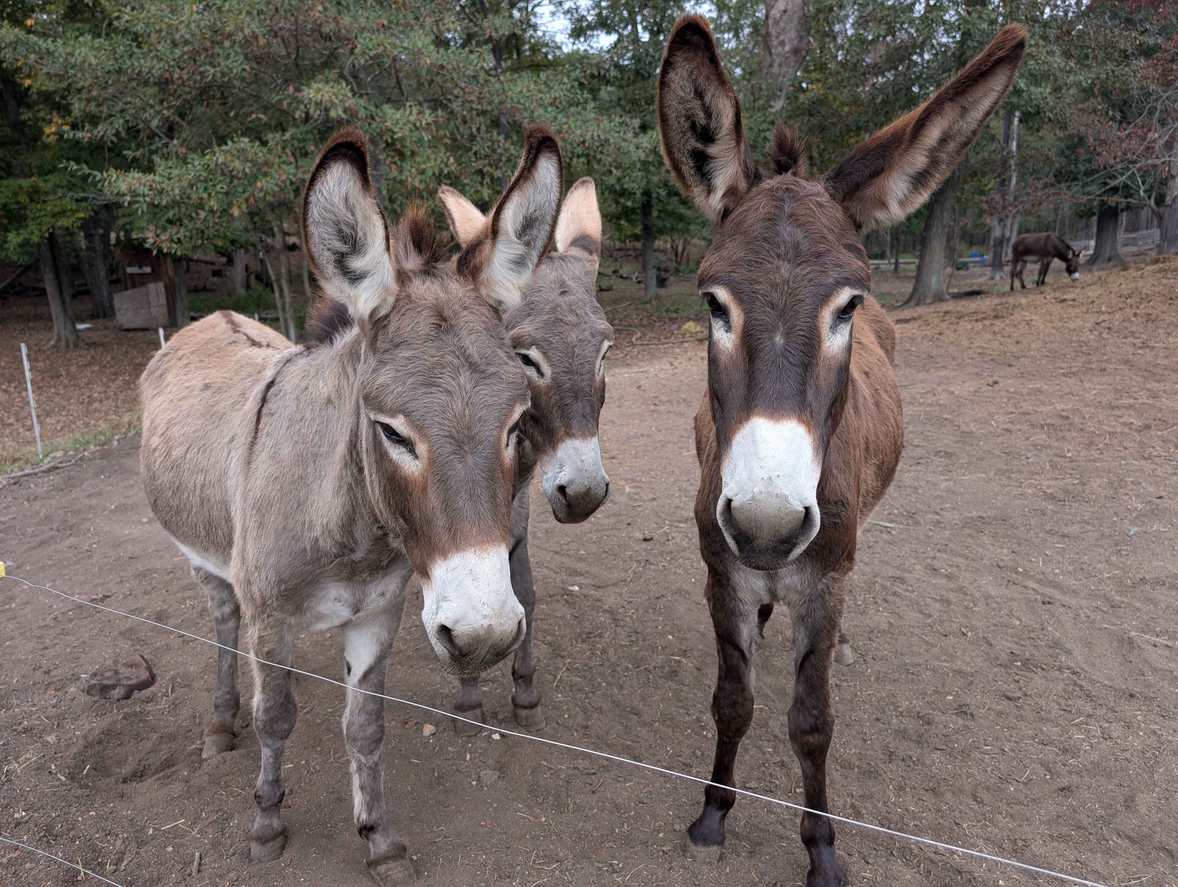 Hummingbird Hollow Outdoors