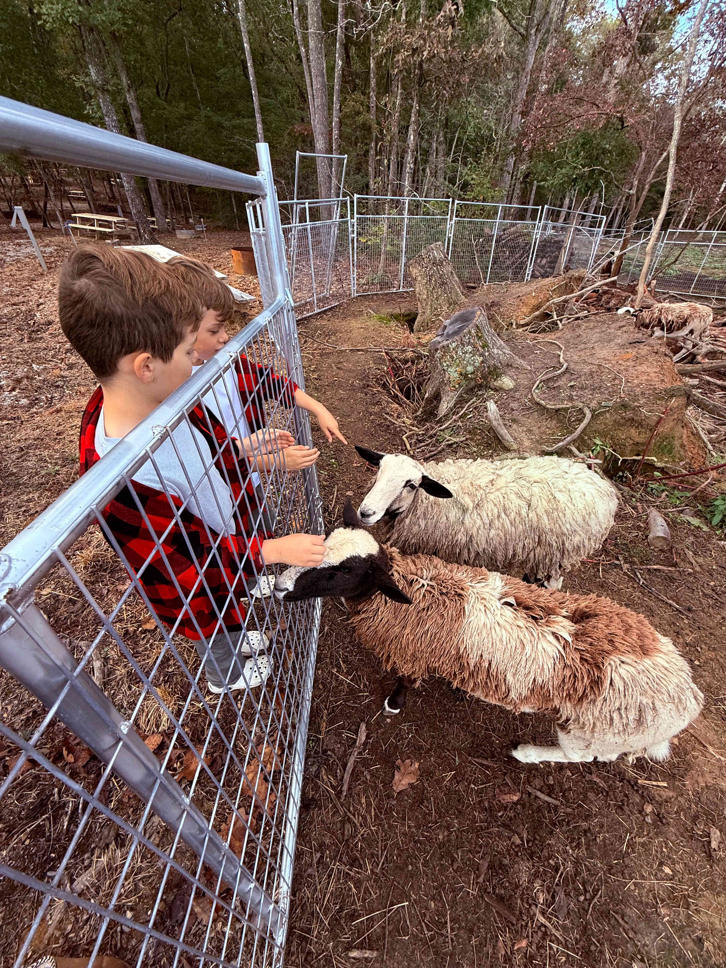 Campsites Fall Creek Falls Stables