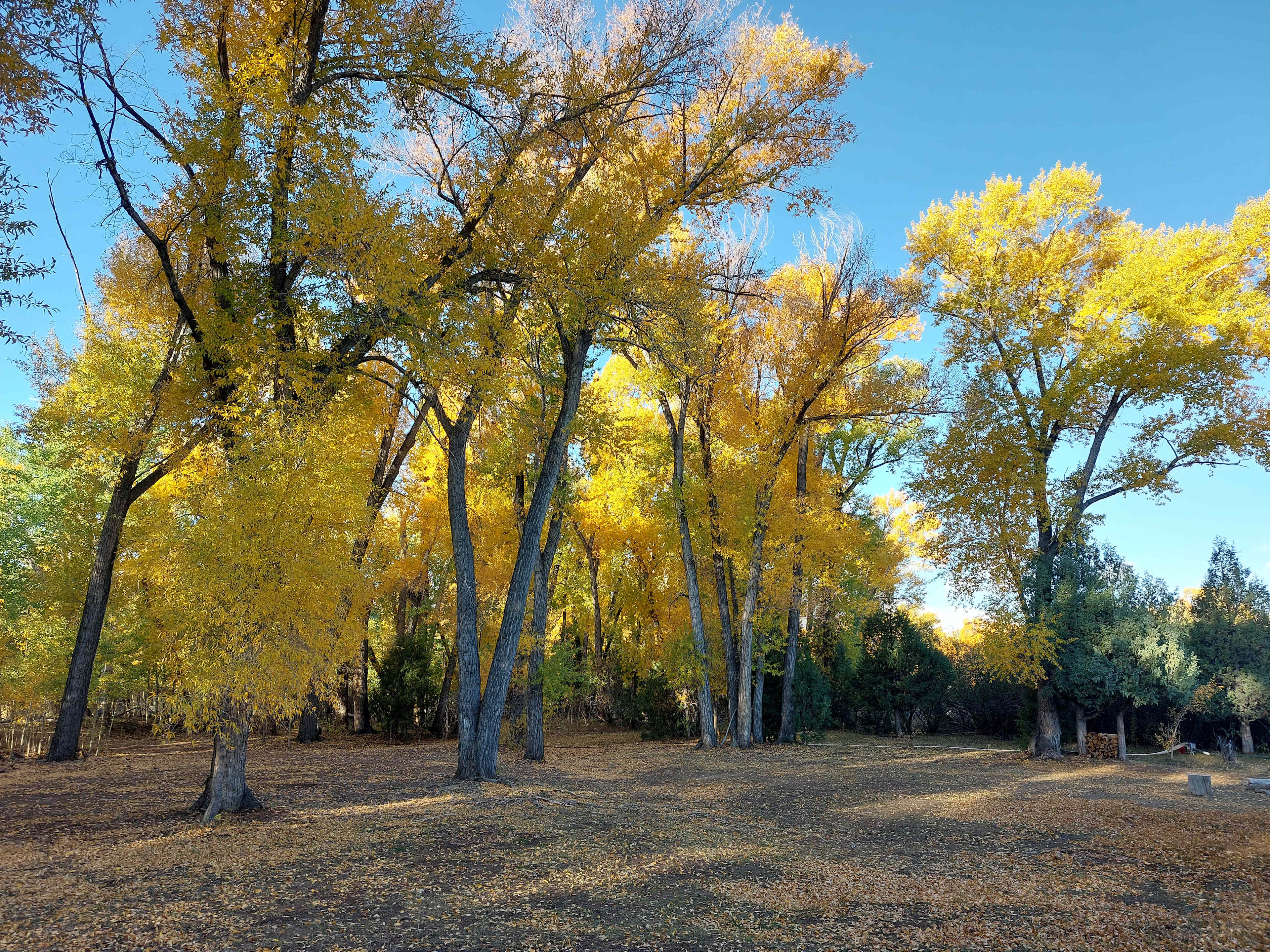 PR Ranch - Fly Fishing