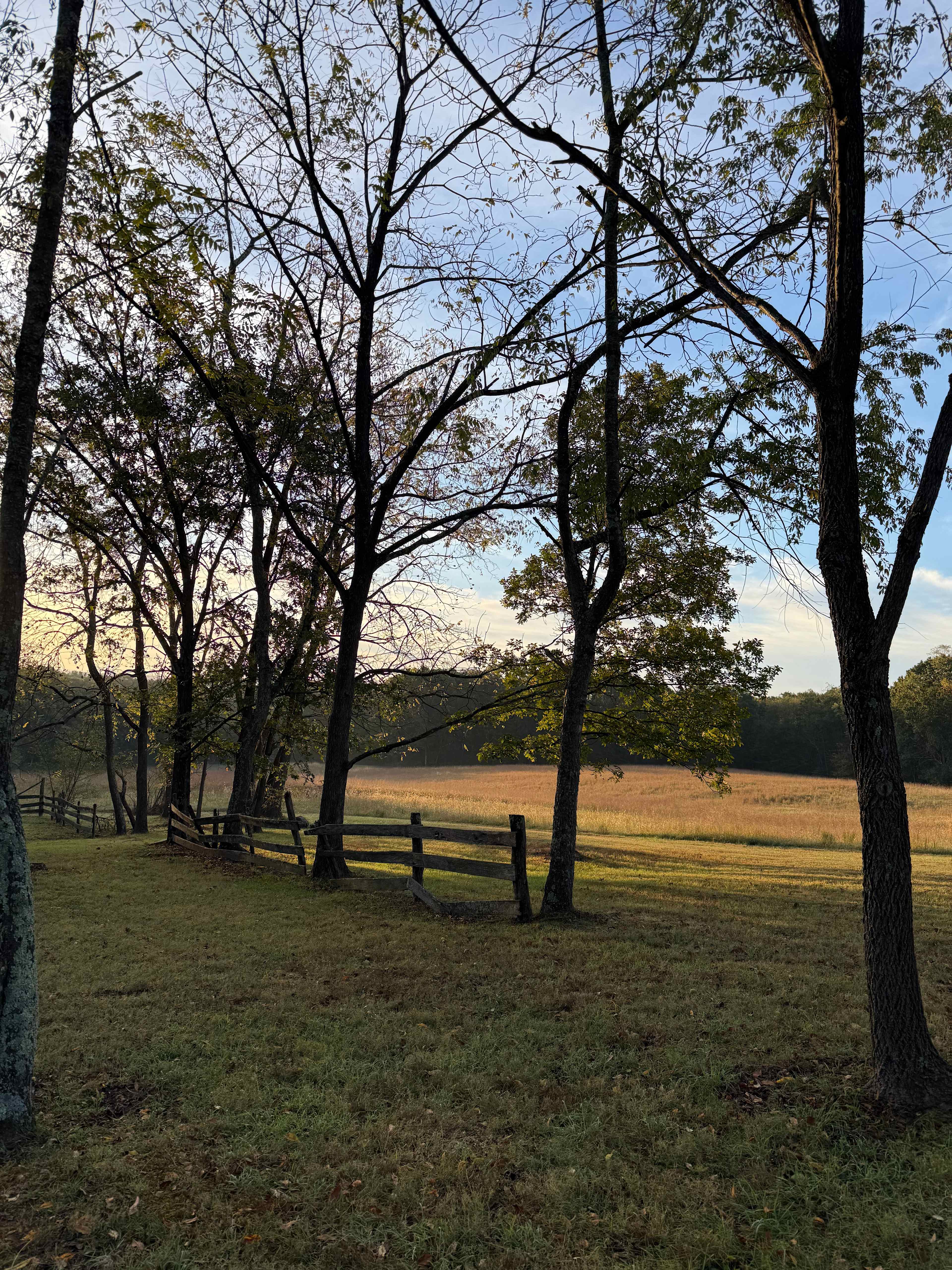 Locust Post Brewery Camp