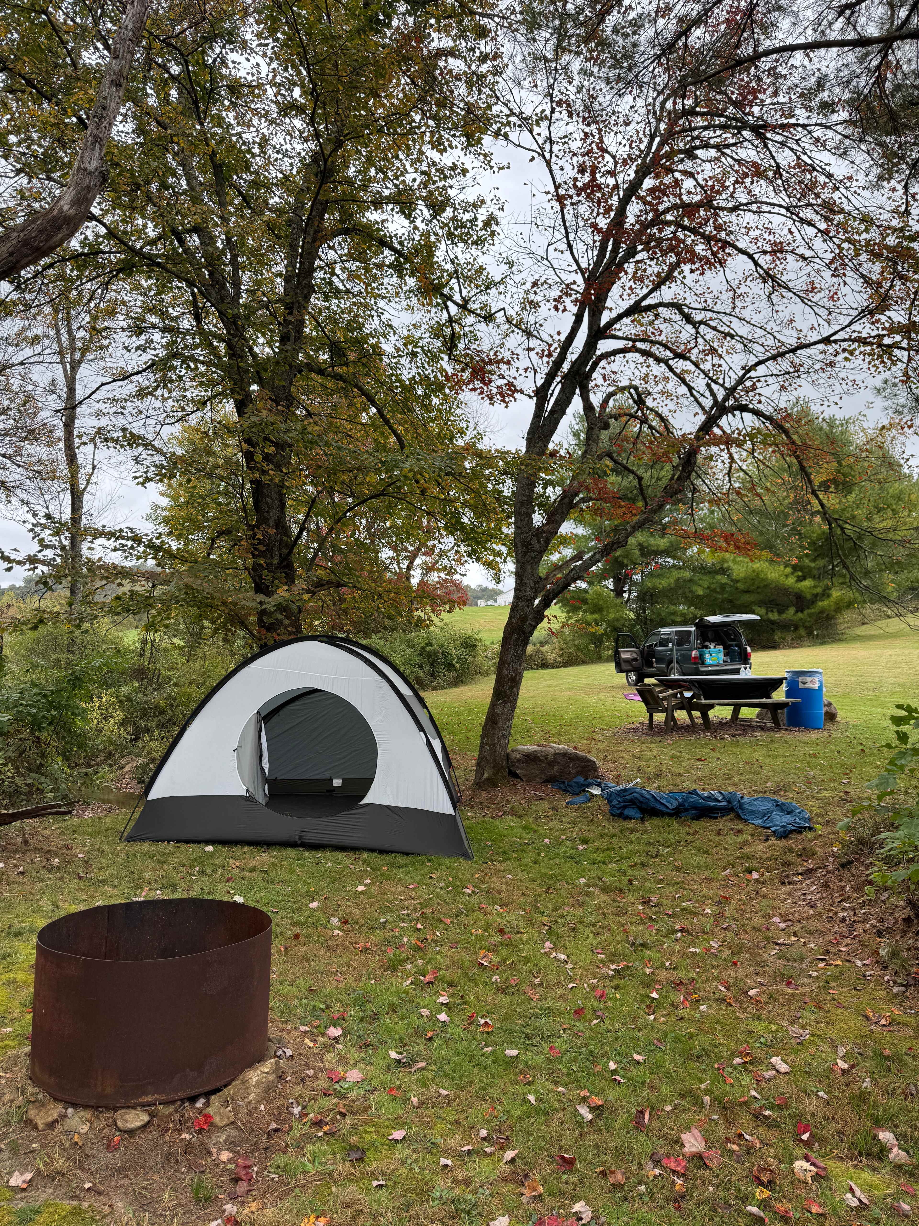 Spacious and level campsite
