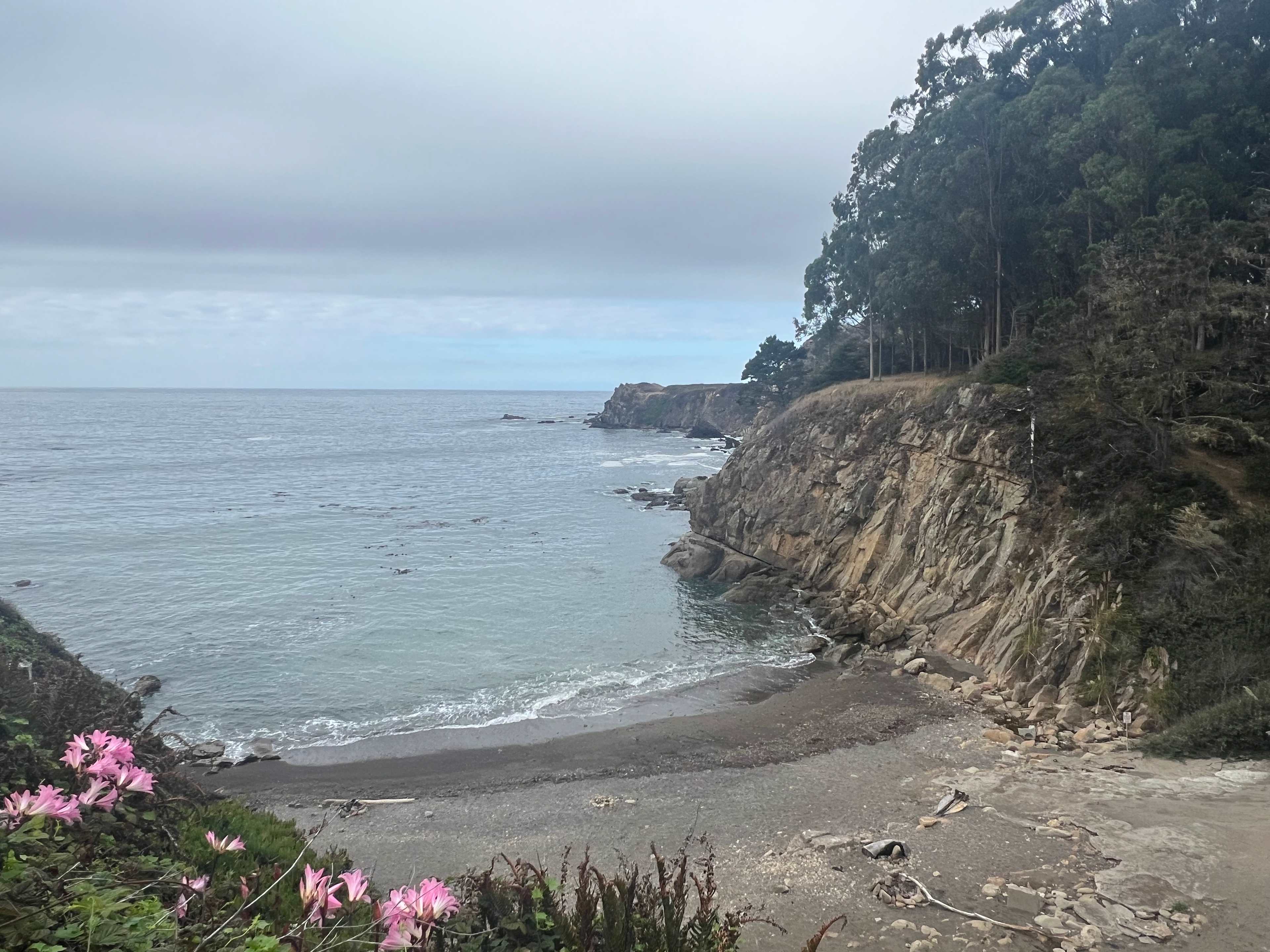 Timber Cove Campground