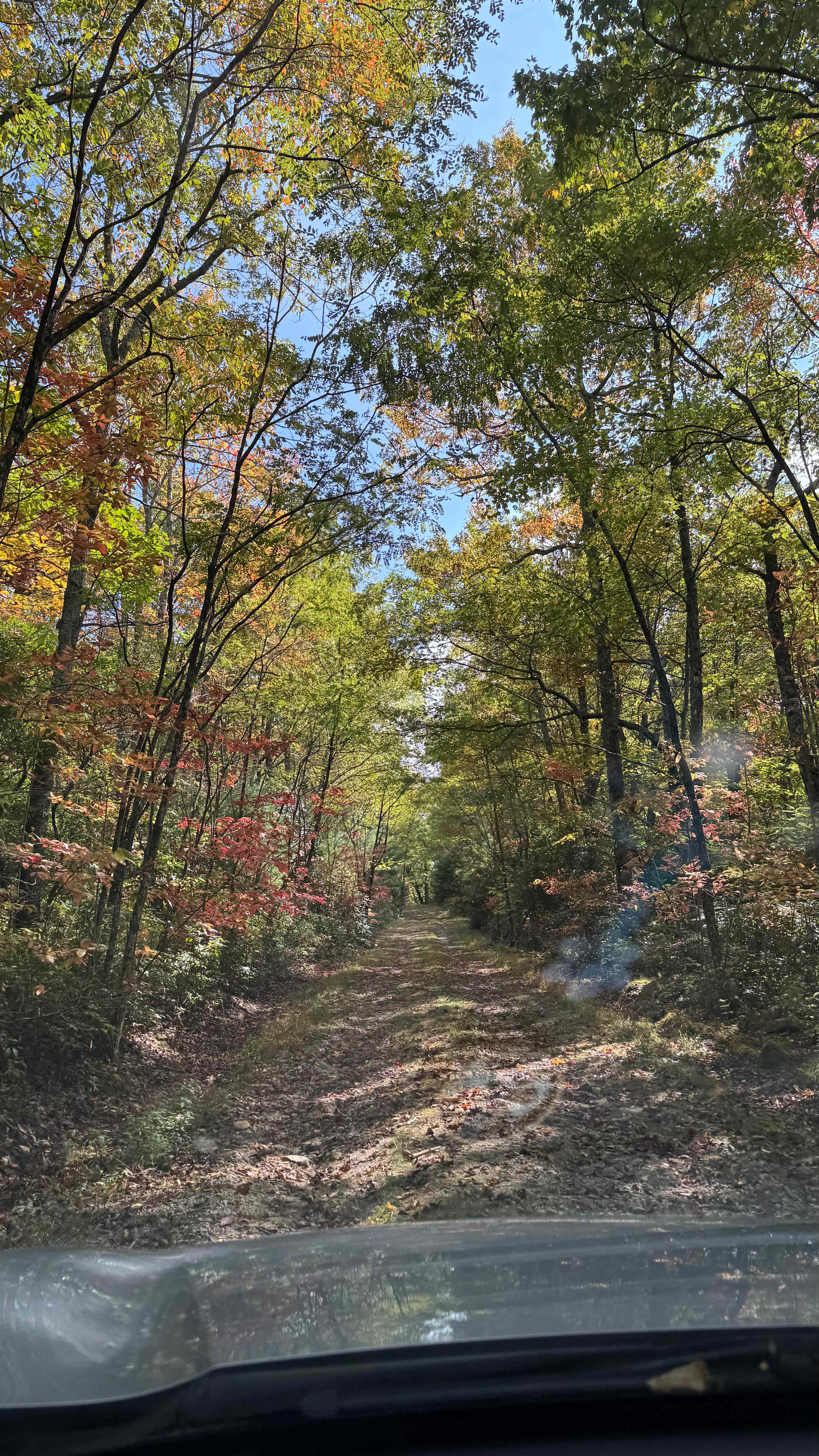 Indian Creek Rental's Mountain Camp