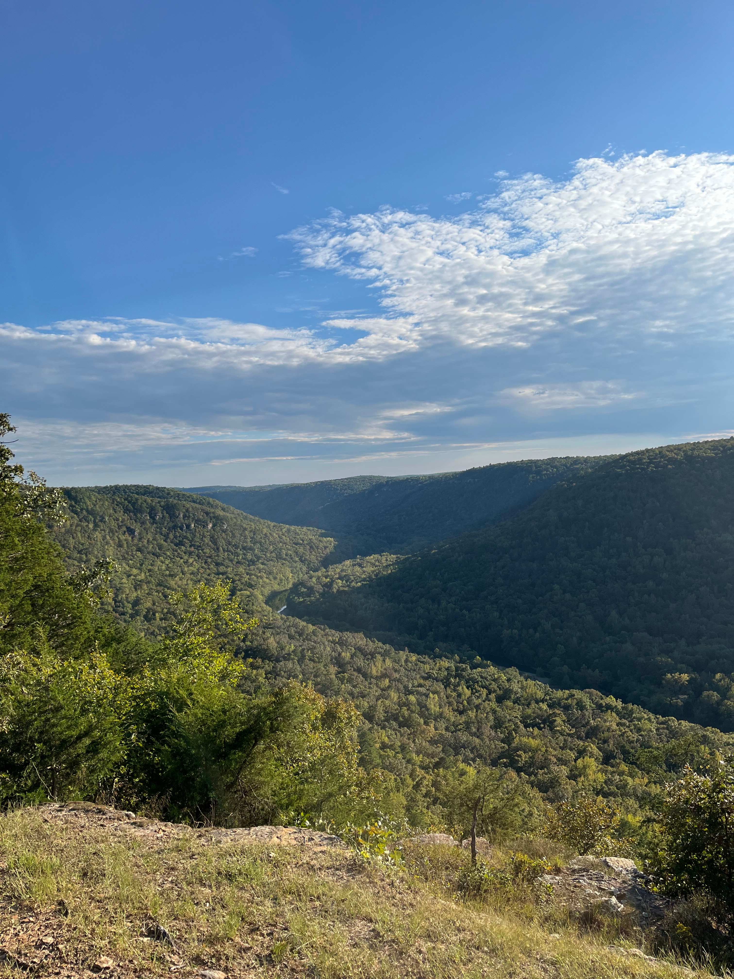 Harper Bluff & Numu Coffee Roastery