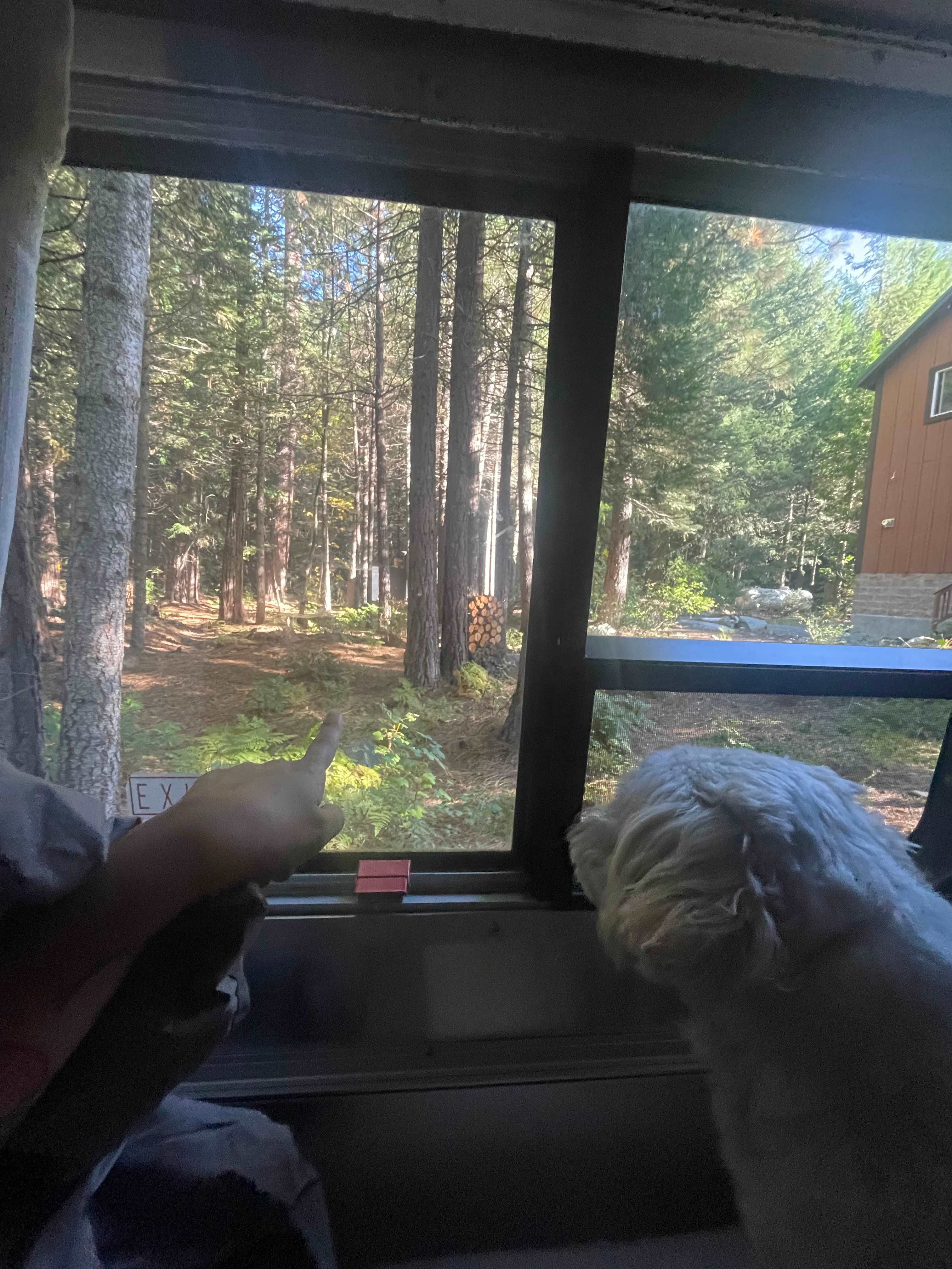 Bright Bear Camp in Tahoe NF
