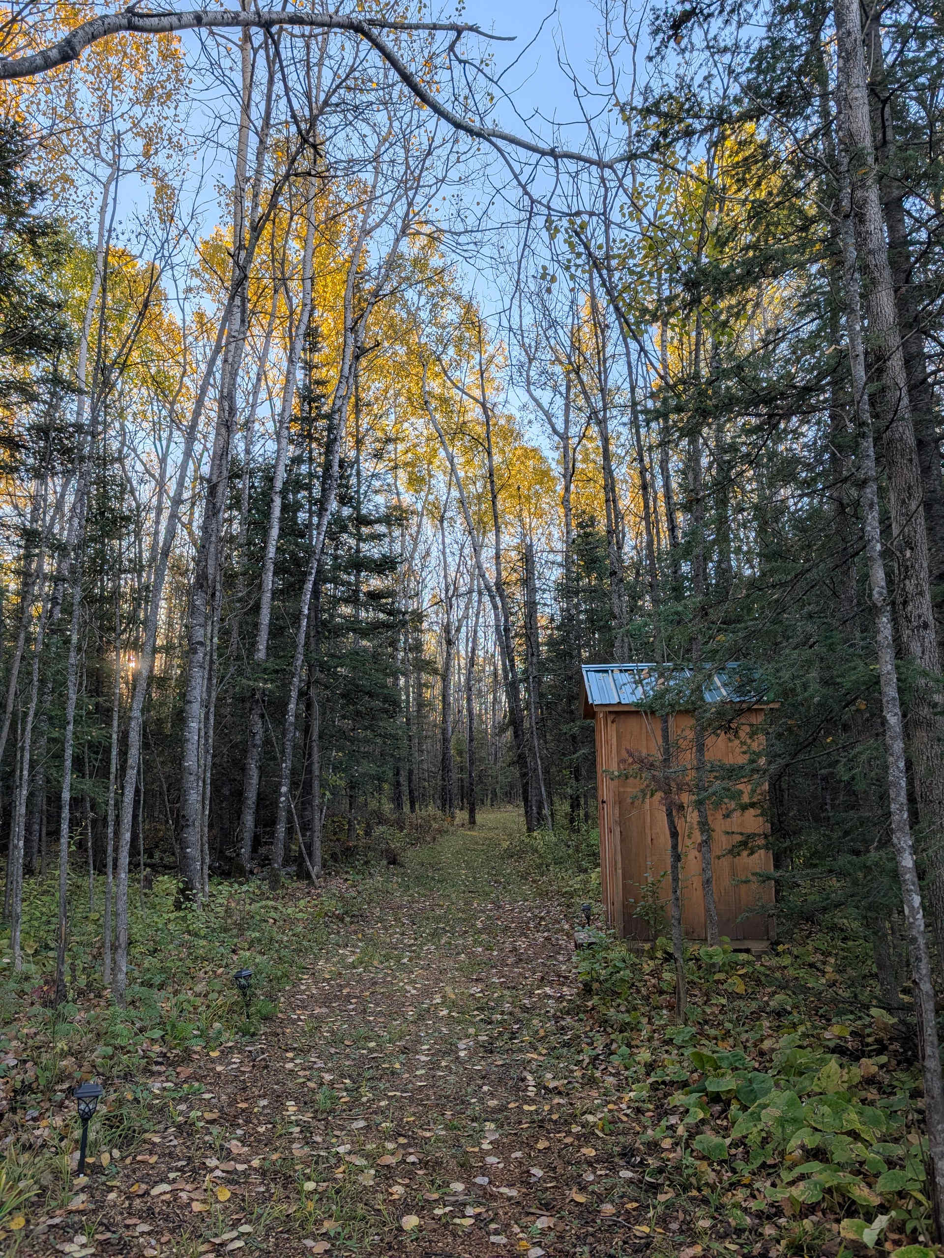 And look at this view toward the outhouse! Even it's gorgeous!