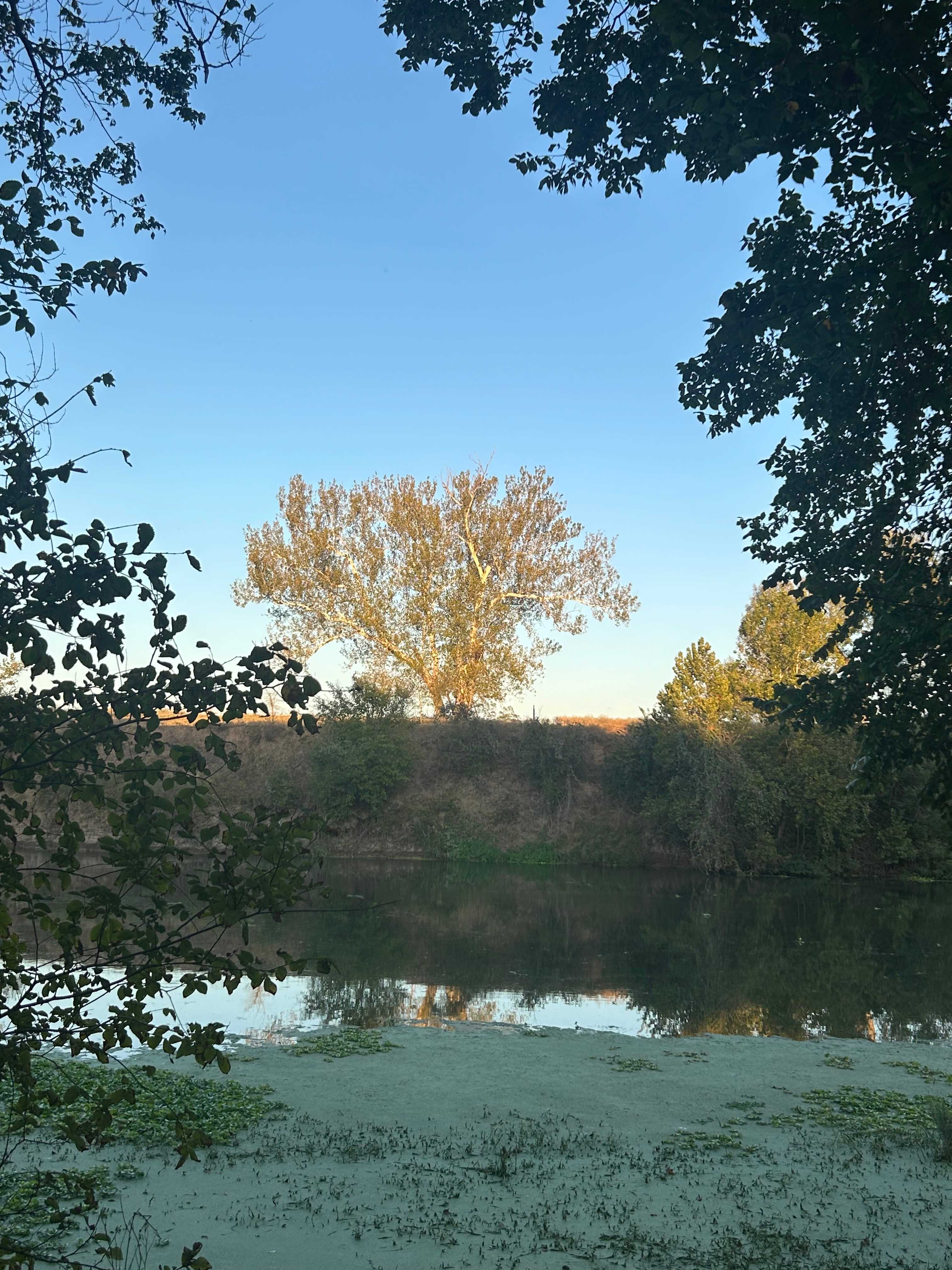 Colorado RiverBend Retreat #CRBR