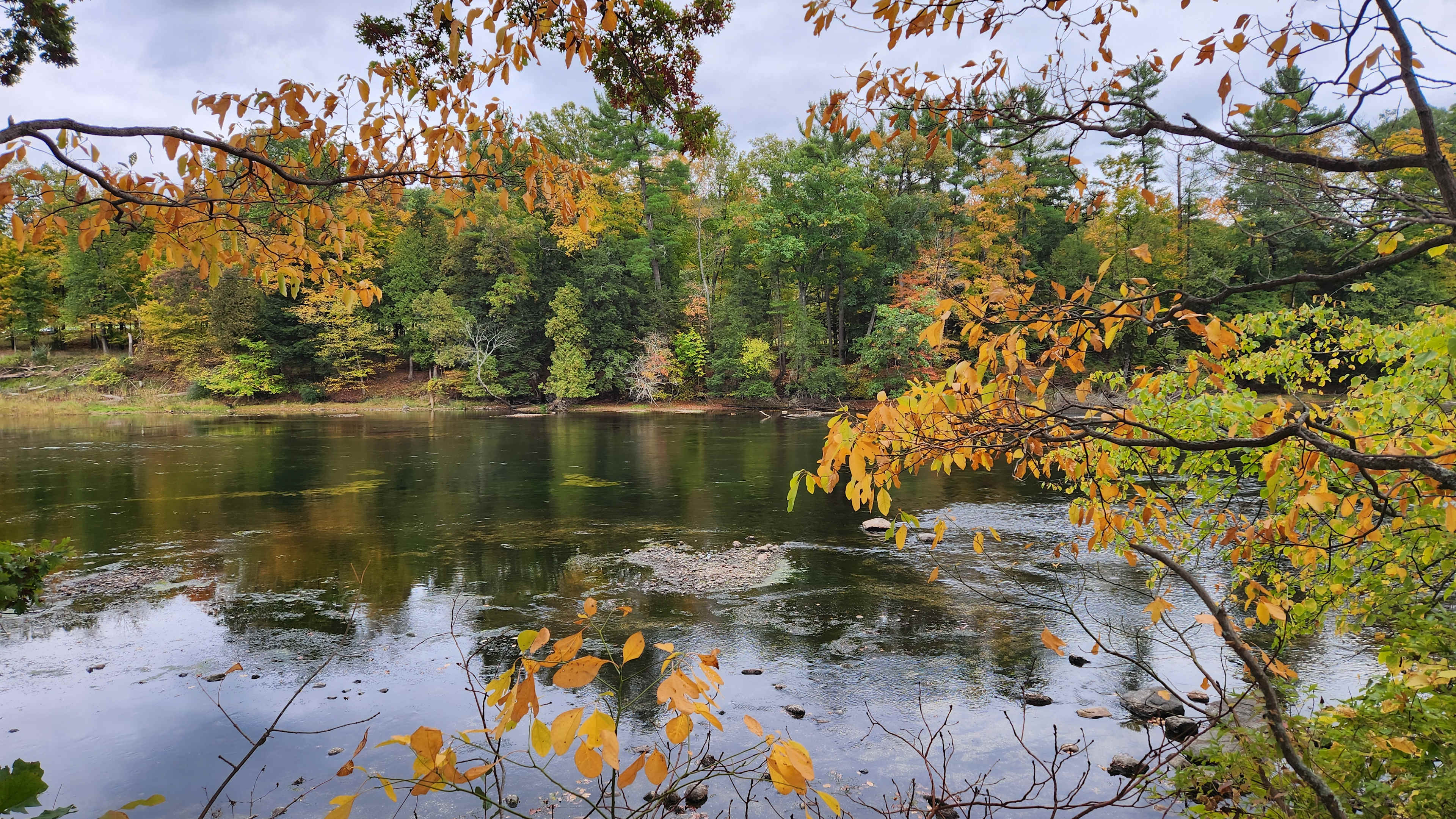 Muskegon Pines-Lake Cabin