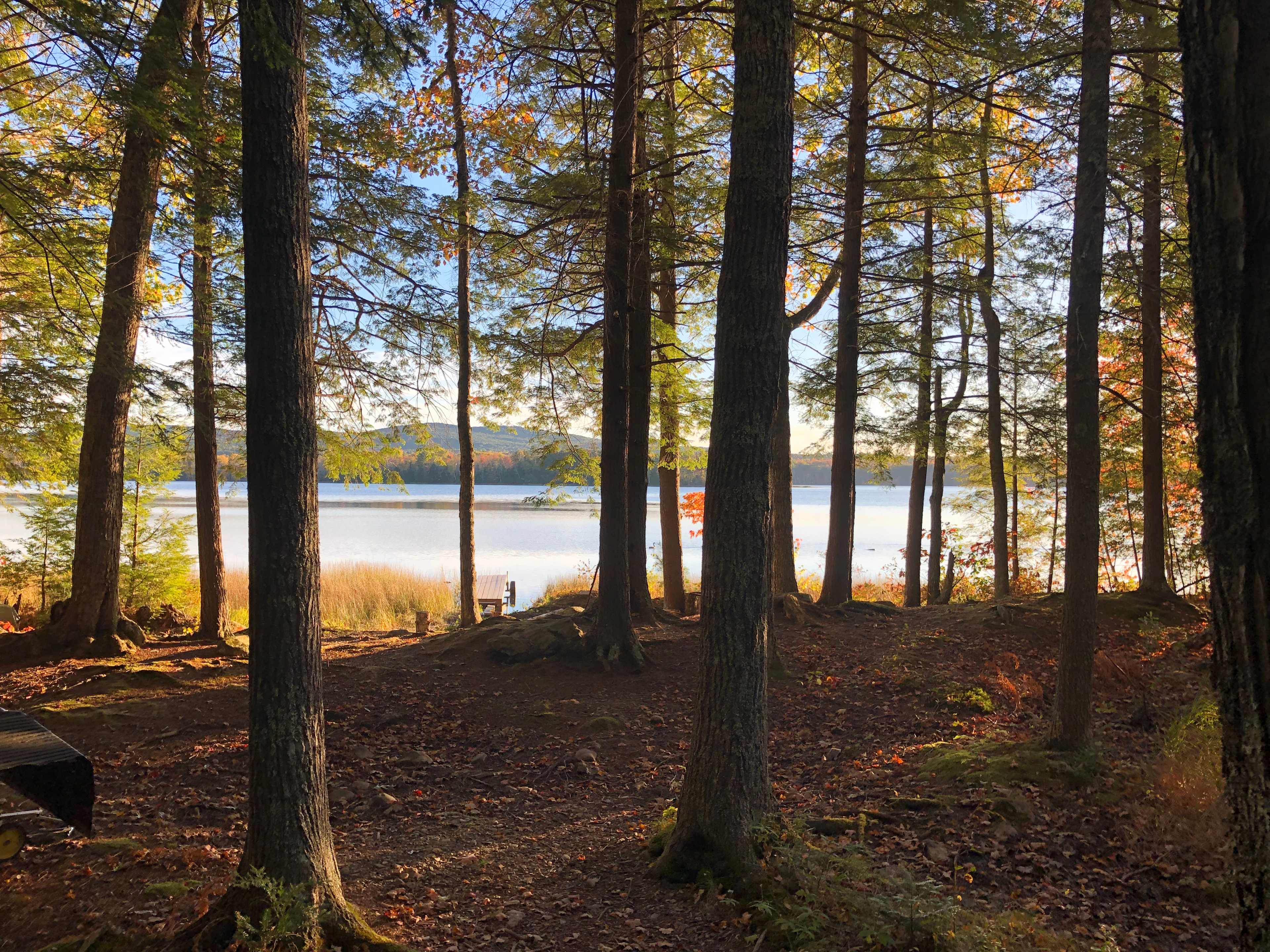 Cabin of the Woods at Tilden Pond