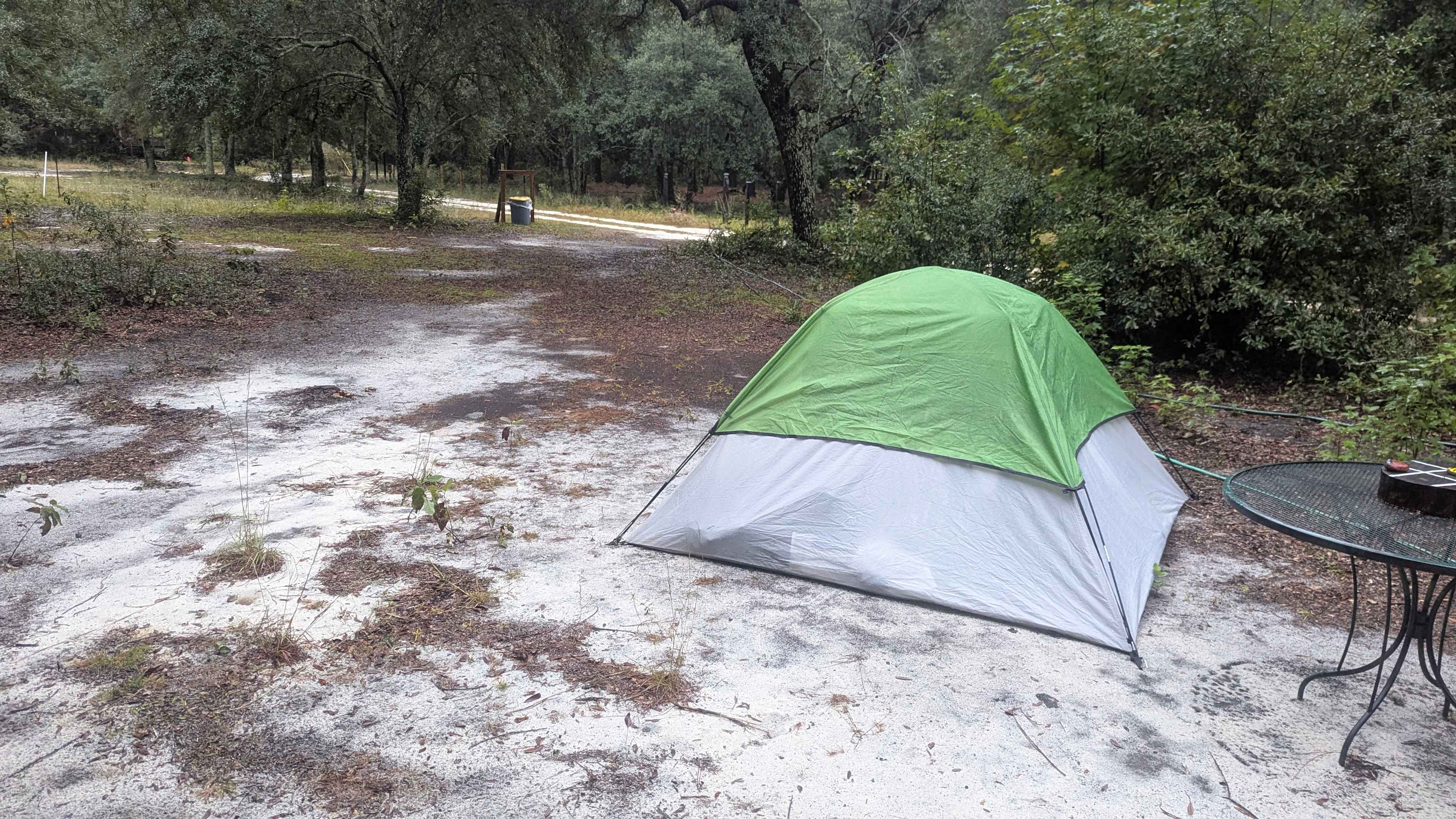 Too Many Oaks Plantation