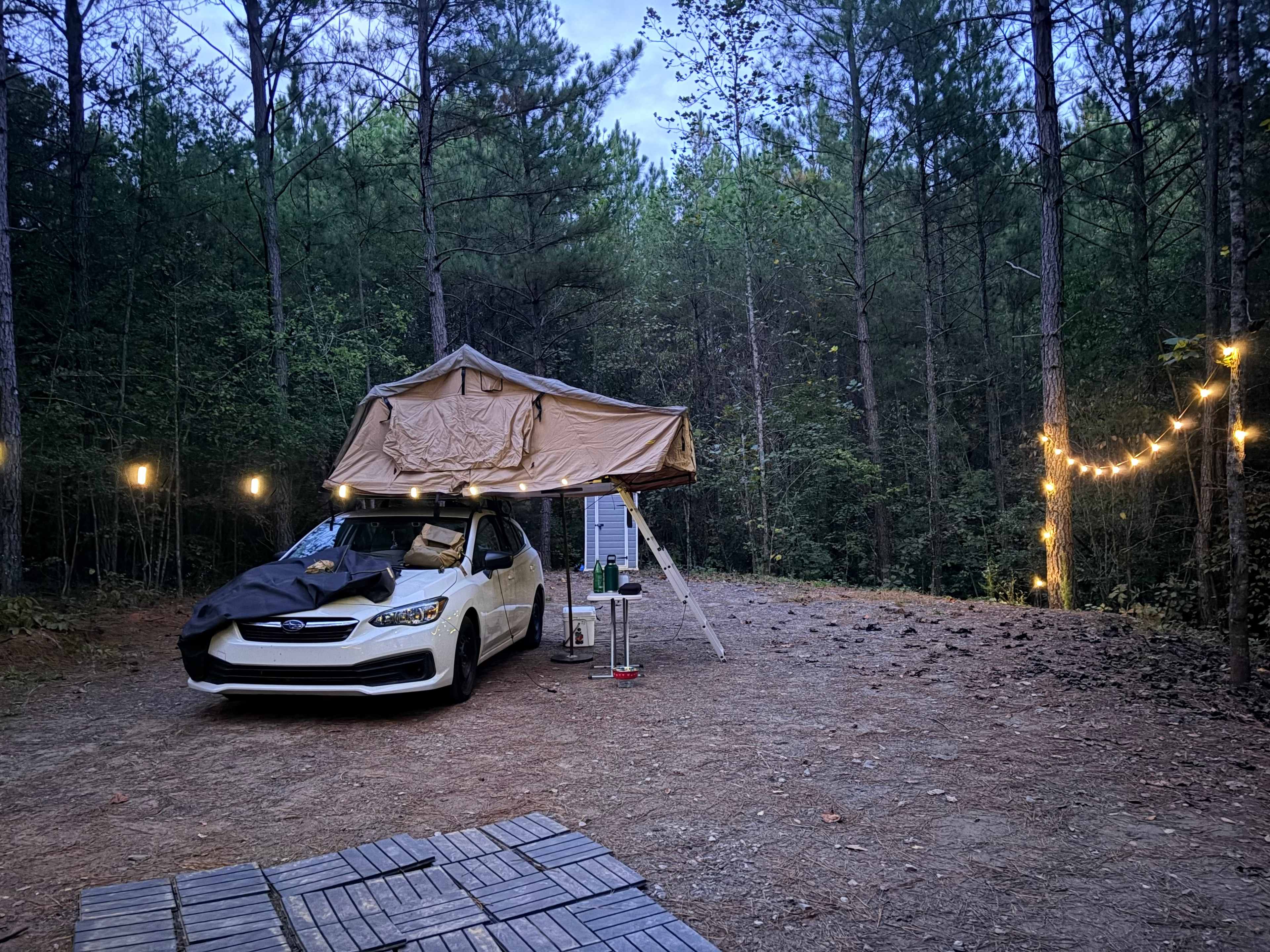 Bear's Woods at Camp Creek