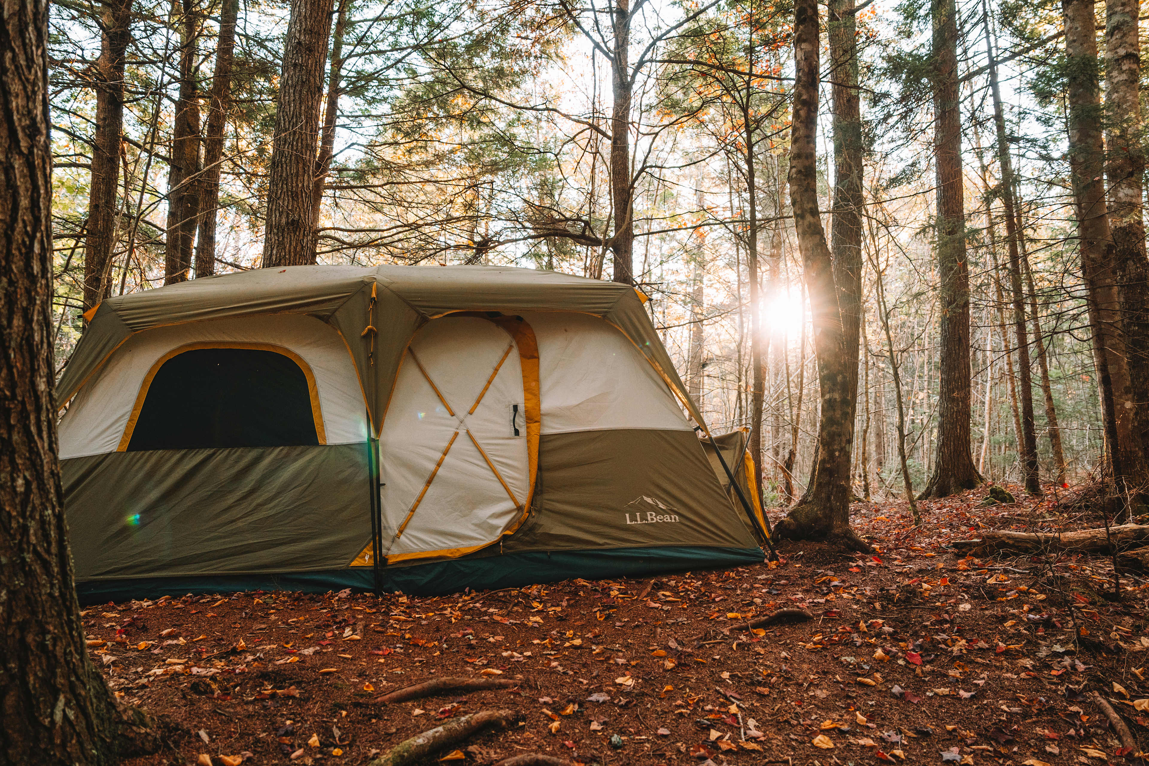 Flag Hill Farm And Forest