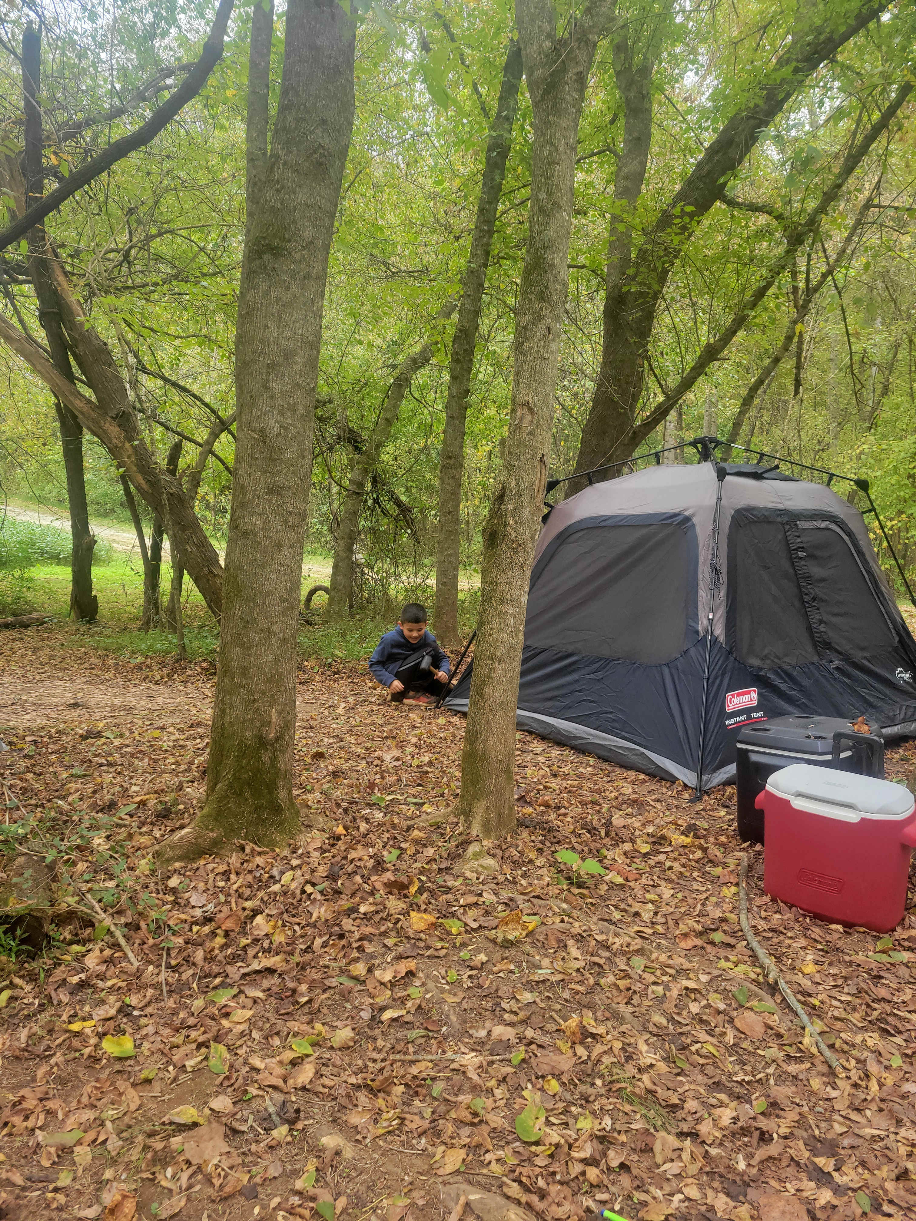 The Oasis at Harmon Creek Farms