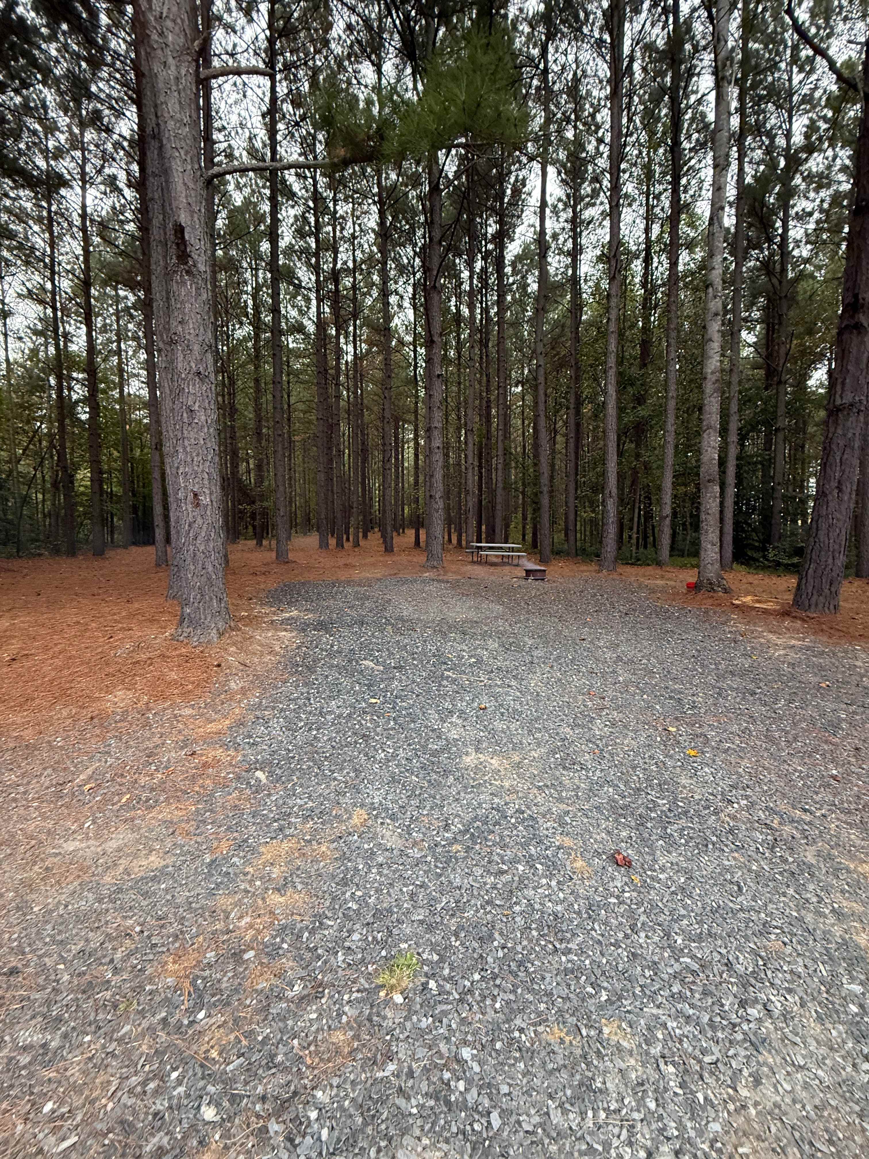 Peaceful Meadows Farm