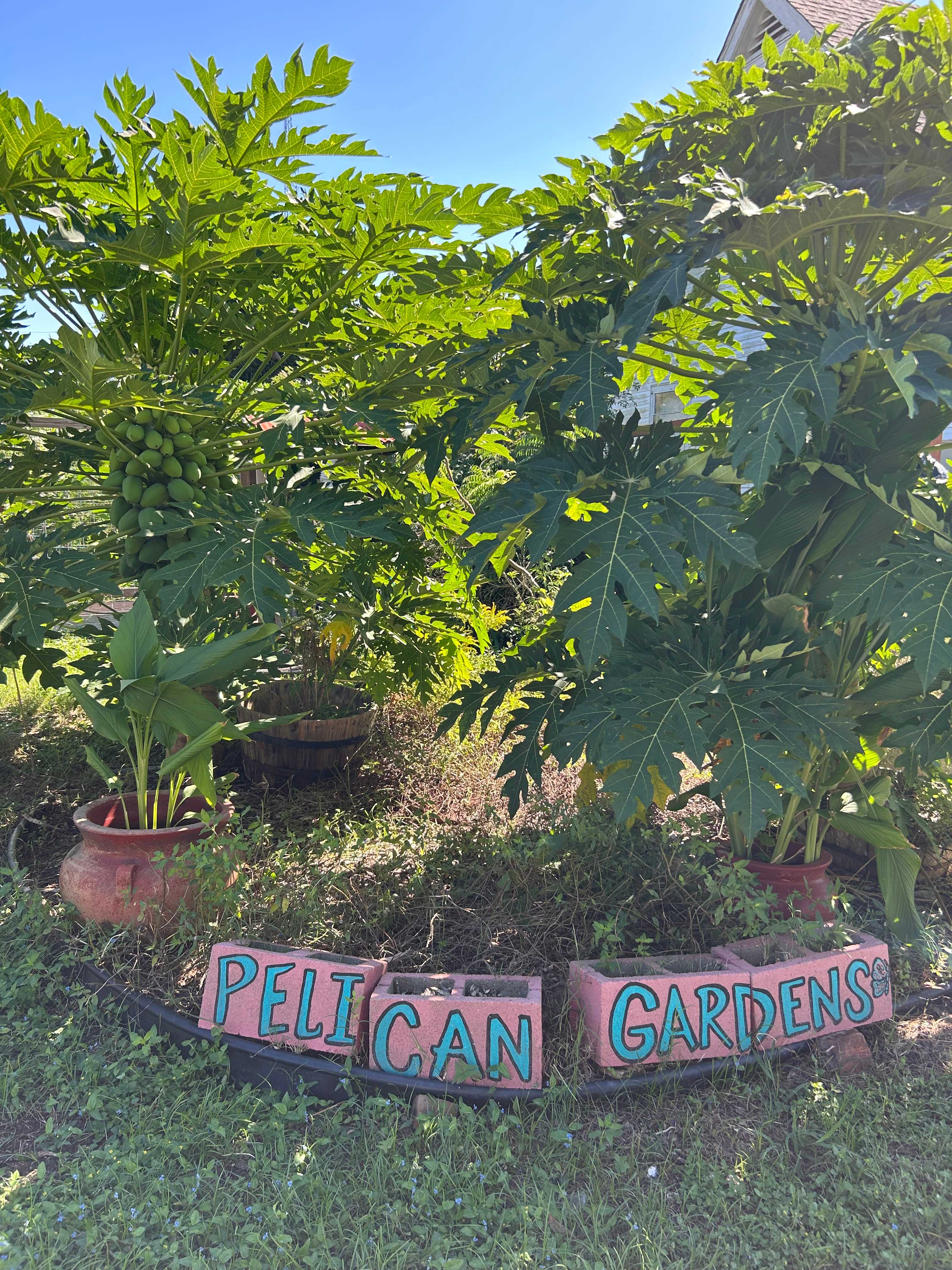 Pelican Gardens