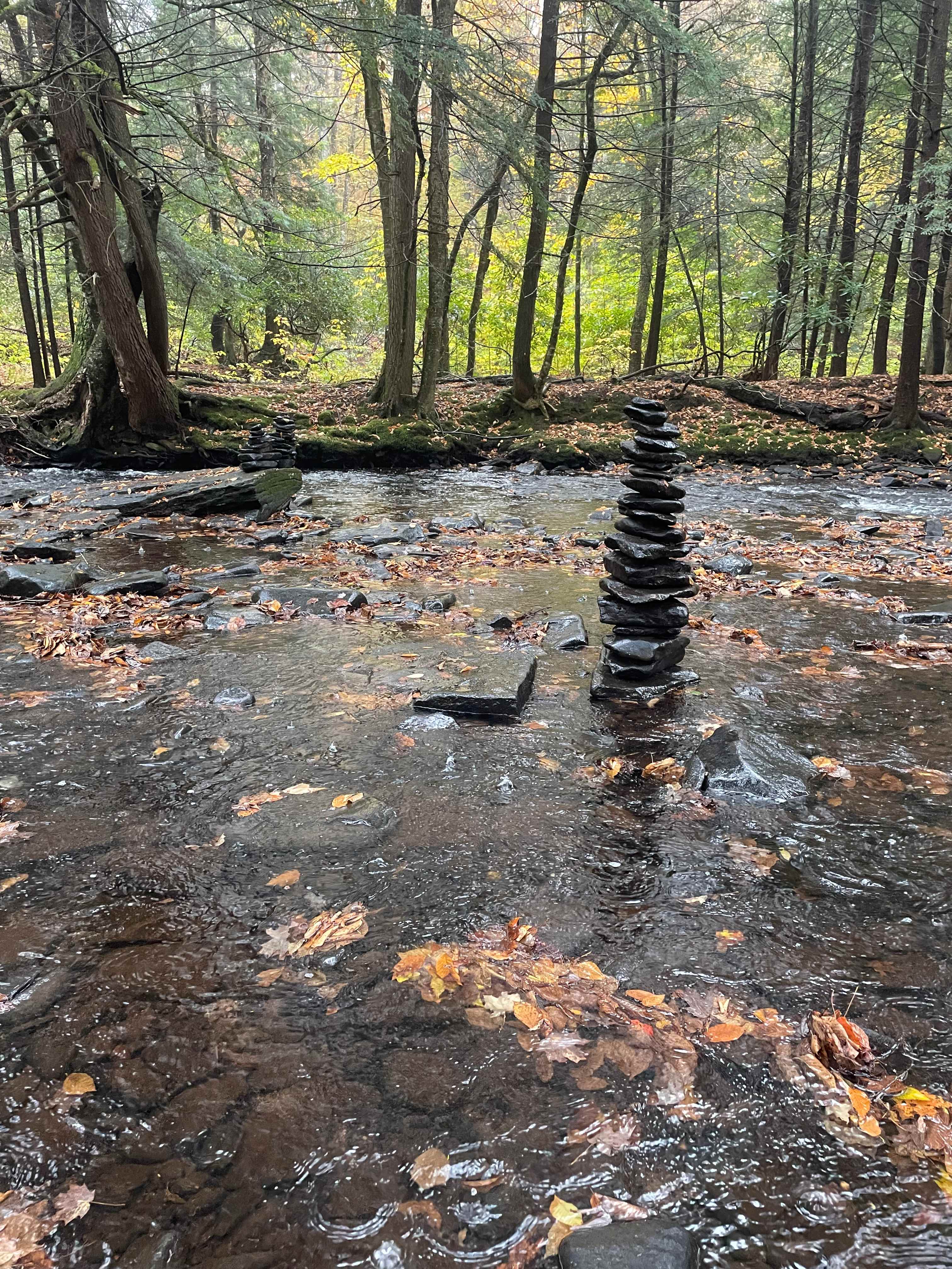 TainoWoods Fairy Magical Sweet Land