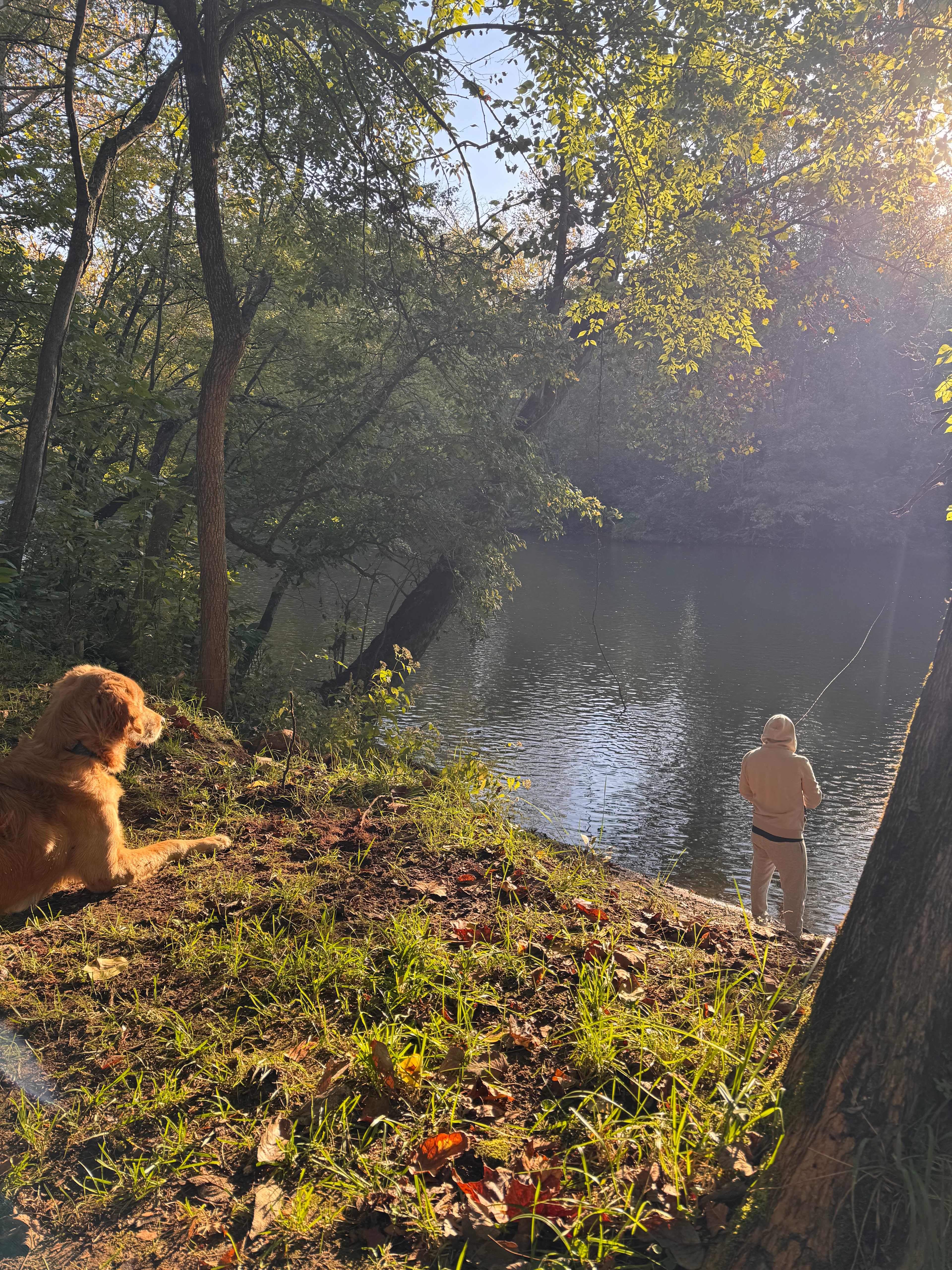 Cabin and Tent Camping On The River