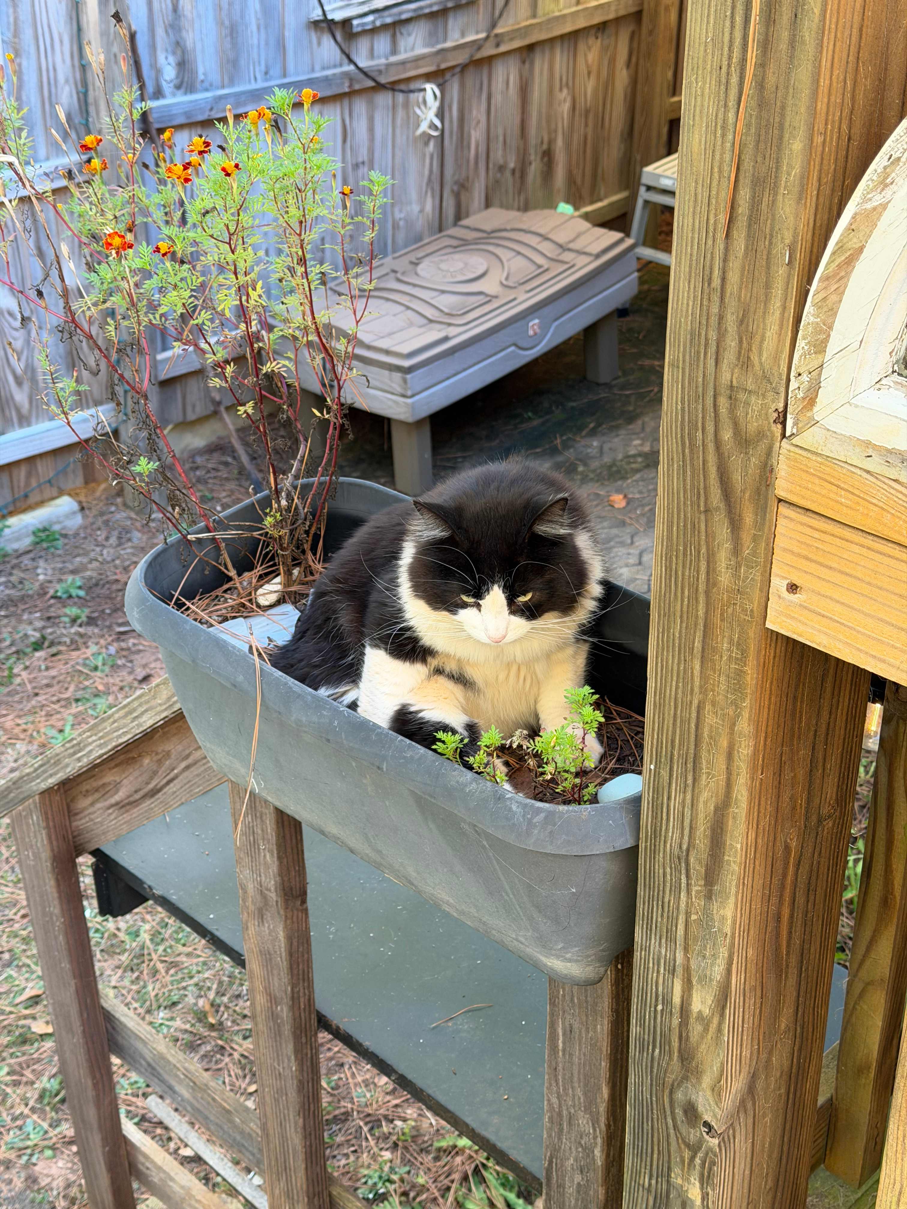 Sowing Seeds of Peace