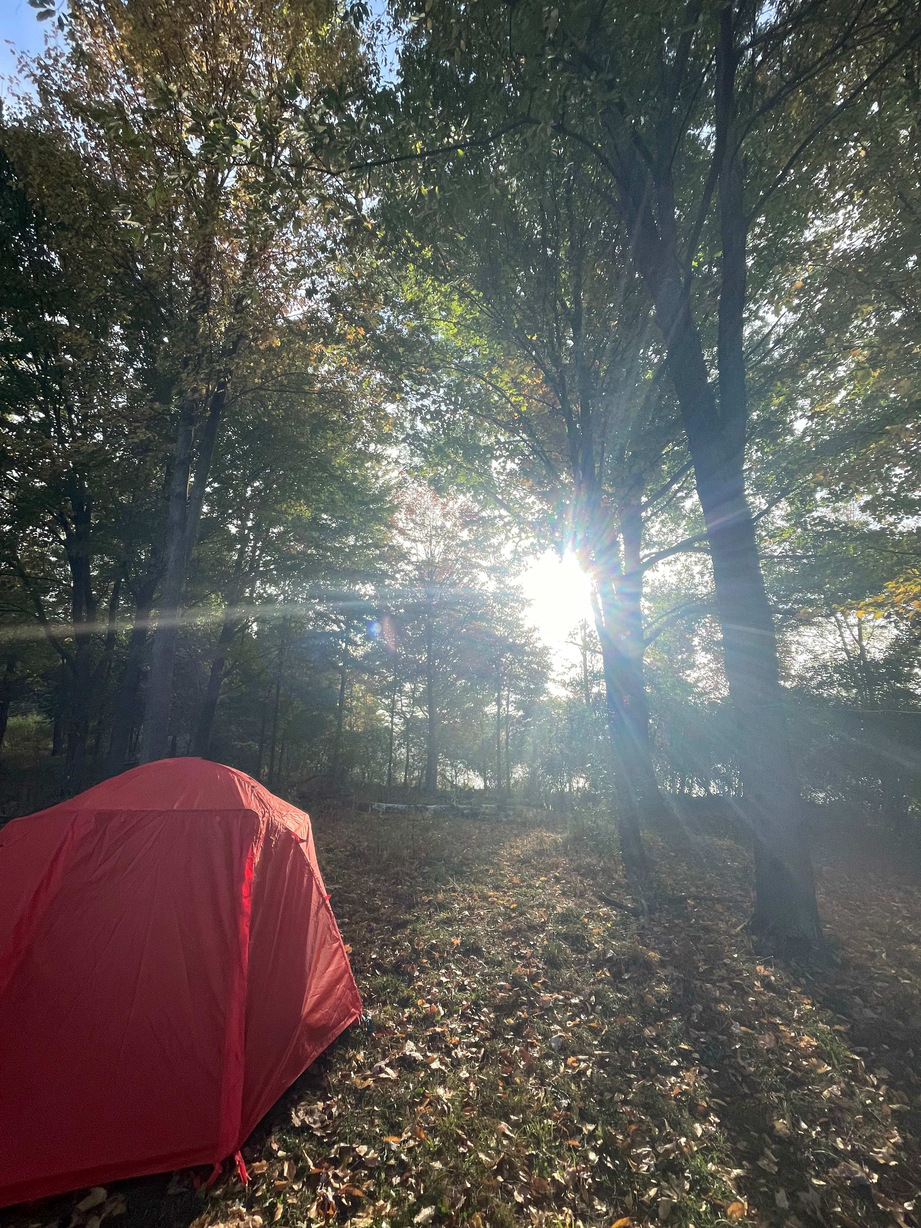 Provision Family Farms