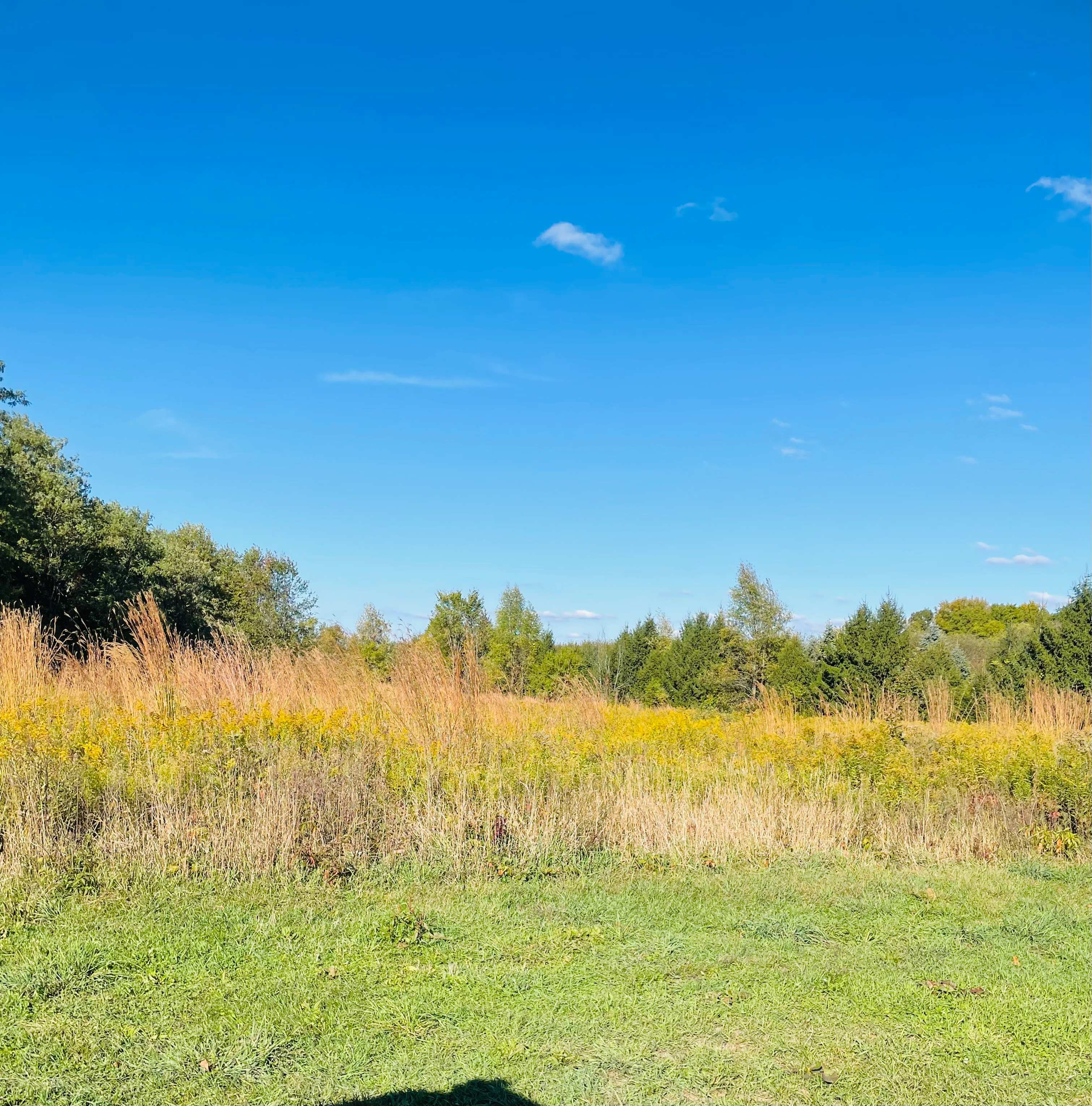 Harvest the Good Farm