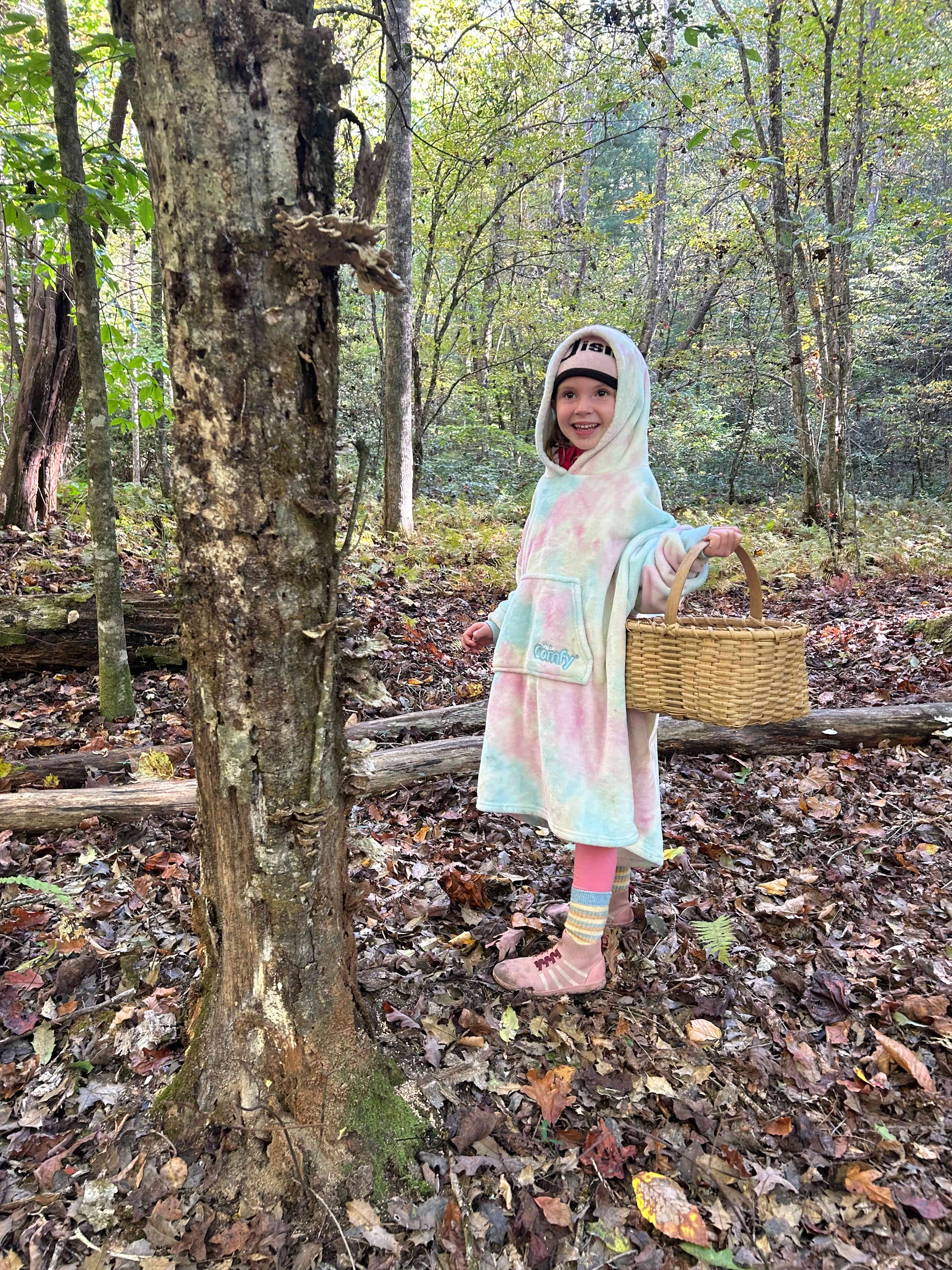 Foraging for mushrooms 