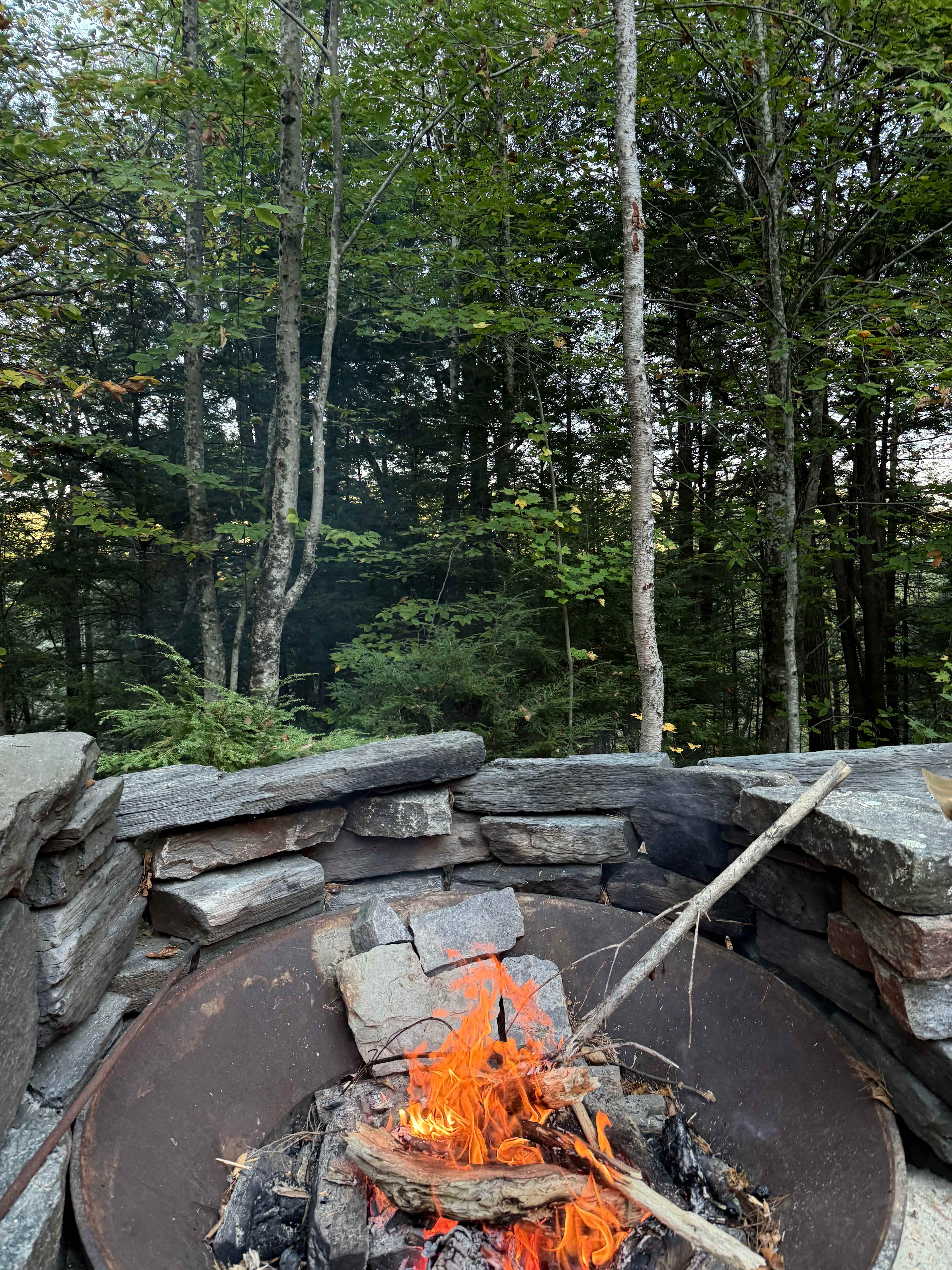 Waterfalls  Wild And Free