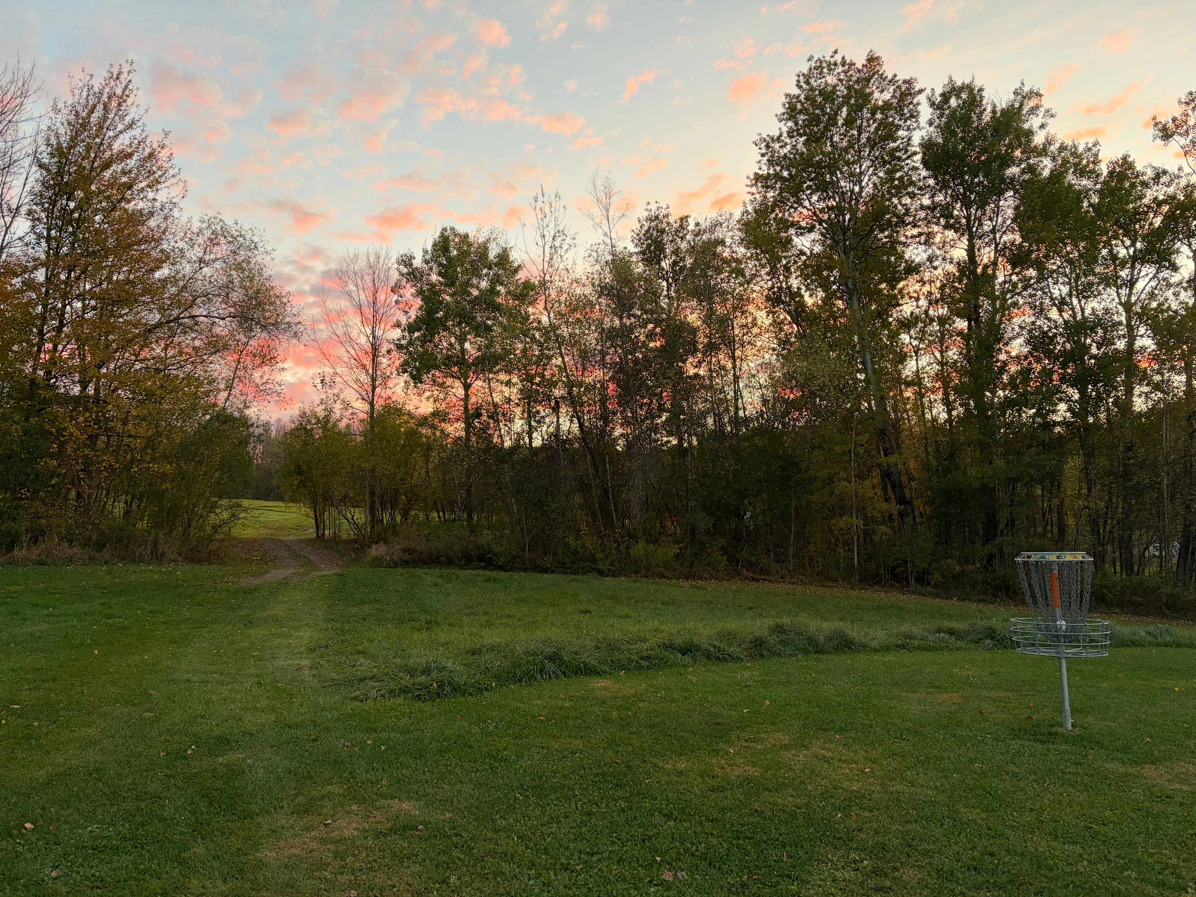 Cold Hollow Disc Golf